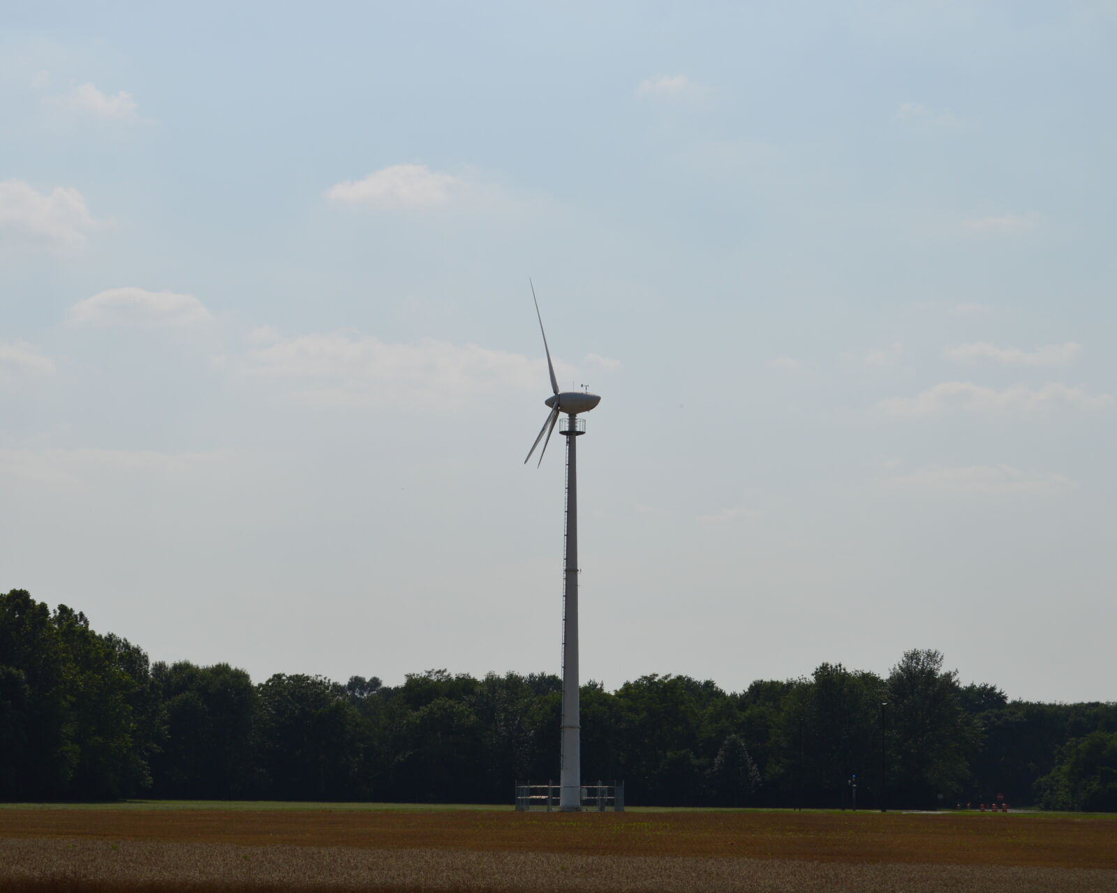Nikon D3200 sample photo