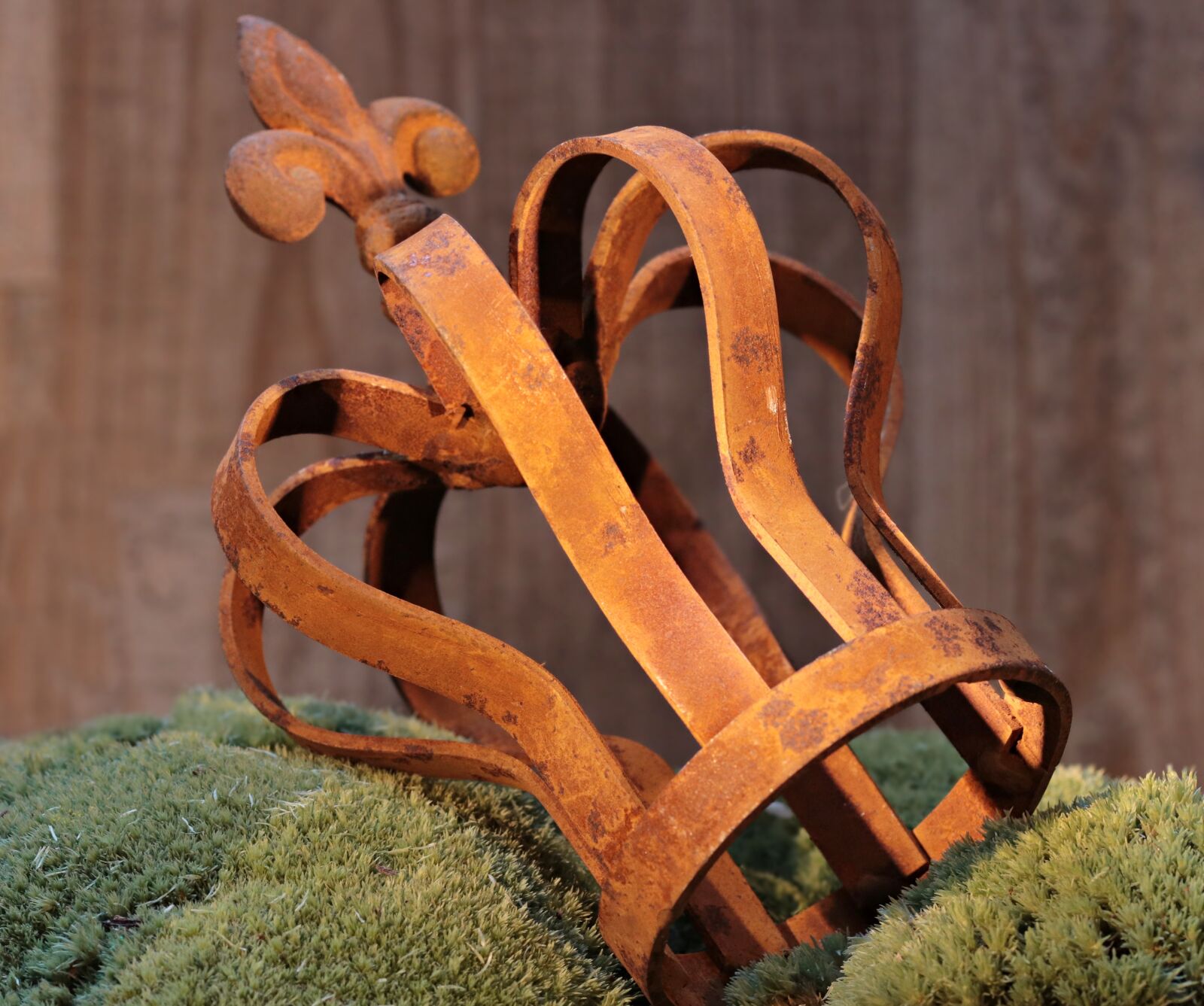 Canon EOS 80D sample photo. Crown, moss, head ornament photography