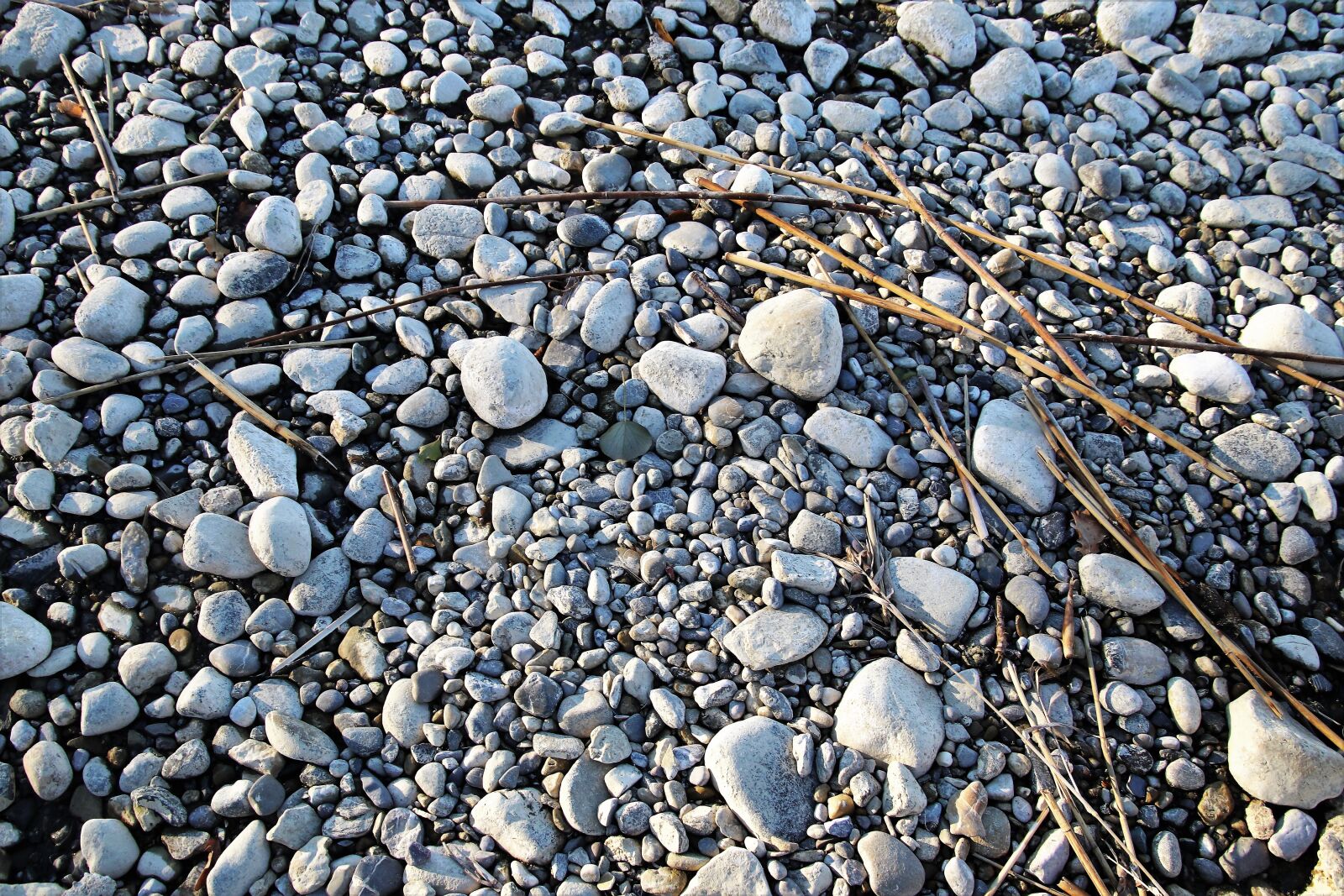 Canon EOS 80D sample photo. Rock, stone, nature photography