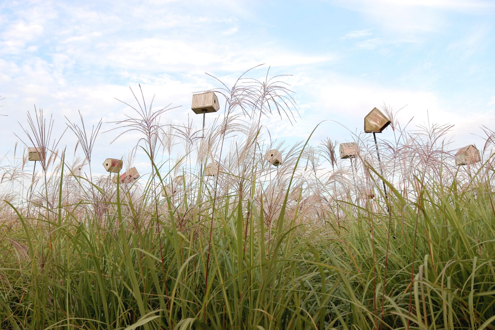 Canon EOS 70D sample photo. Sky park, silver pool photography