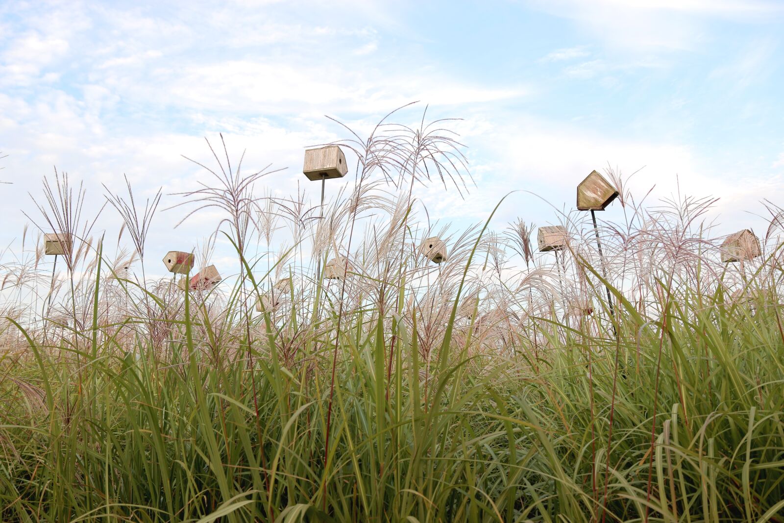 Canon EOS 70D + Sigma 12-24mm f/4.5-5.6 EX DG ASPHERICAL HSM + 1.4x sample photo. Sky park, silver pool photography