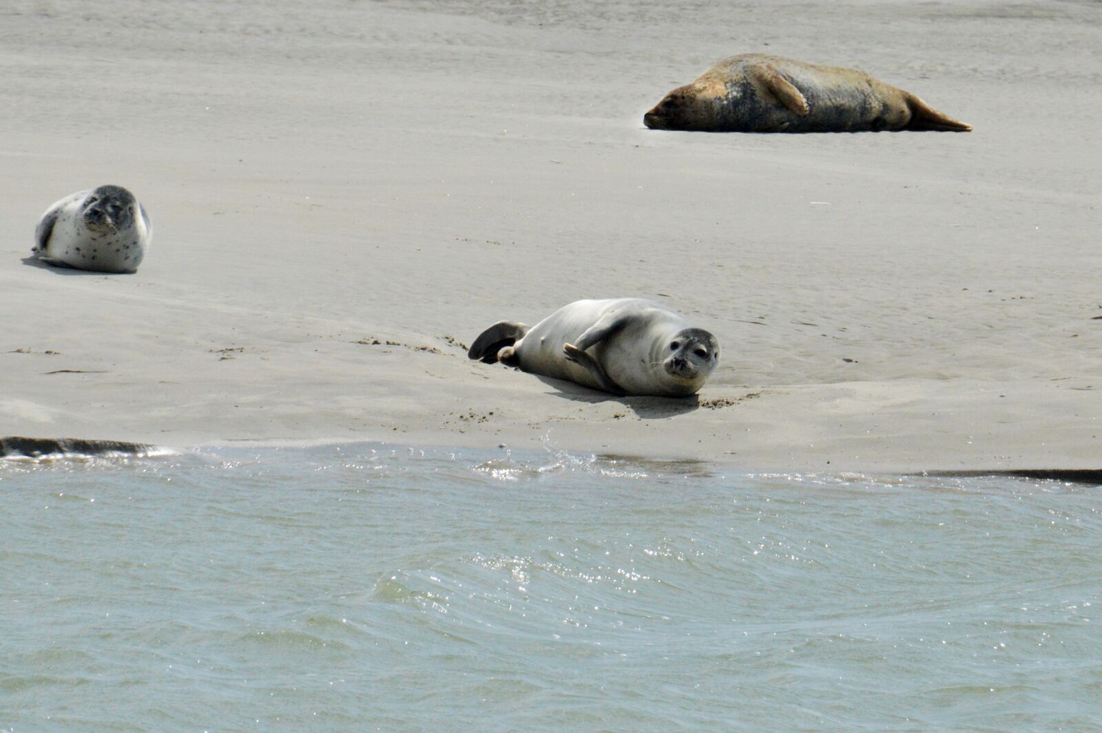 Nikon D3200 sample photo. Sea, beach, berck photography