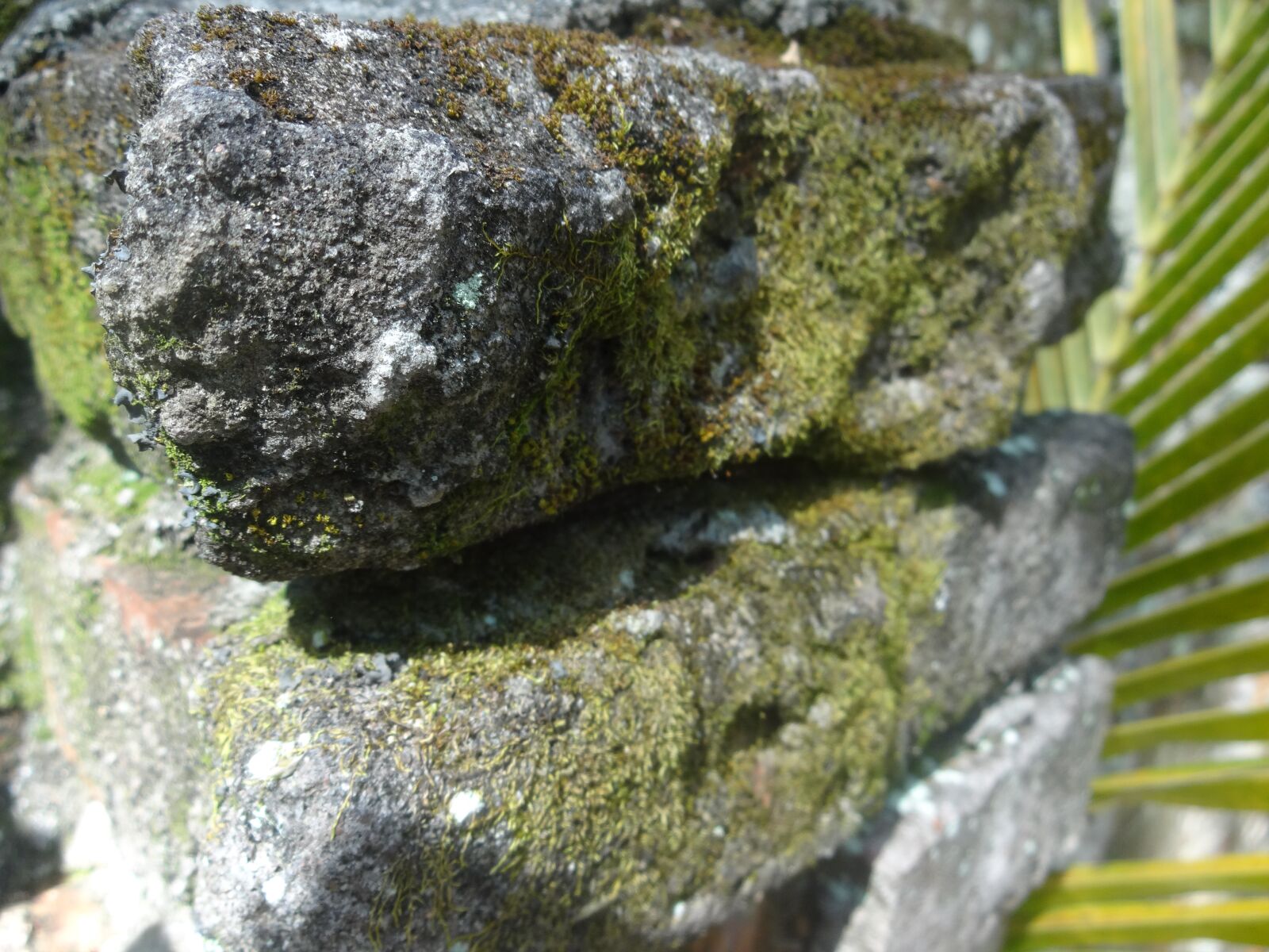 Sony DSC-WX150 sample photo. Brick, stone, green photography