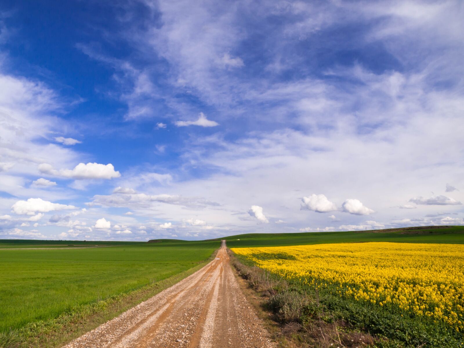 Olympus E-3 sample photo. Fields, sky, rural photography