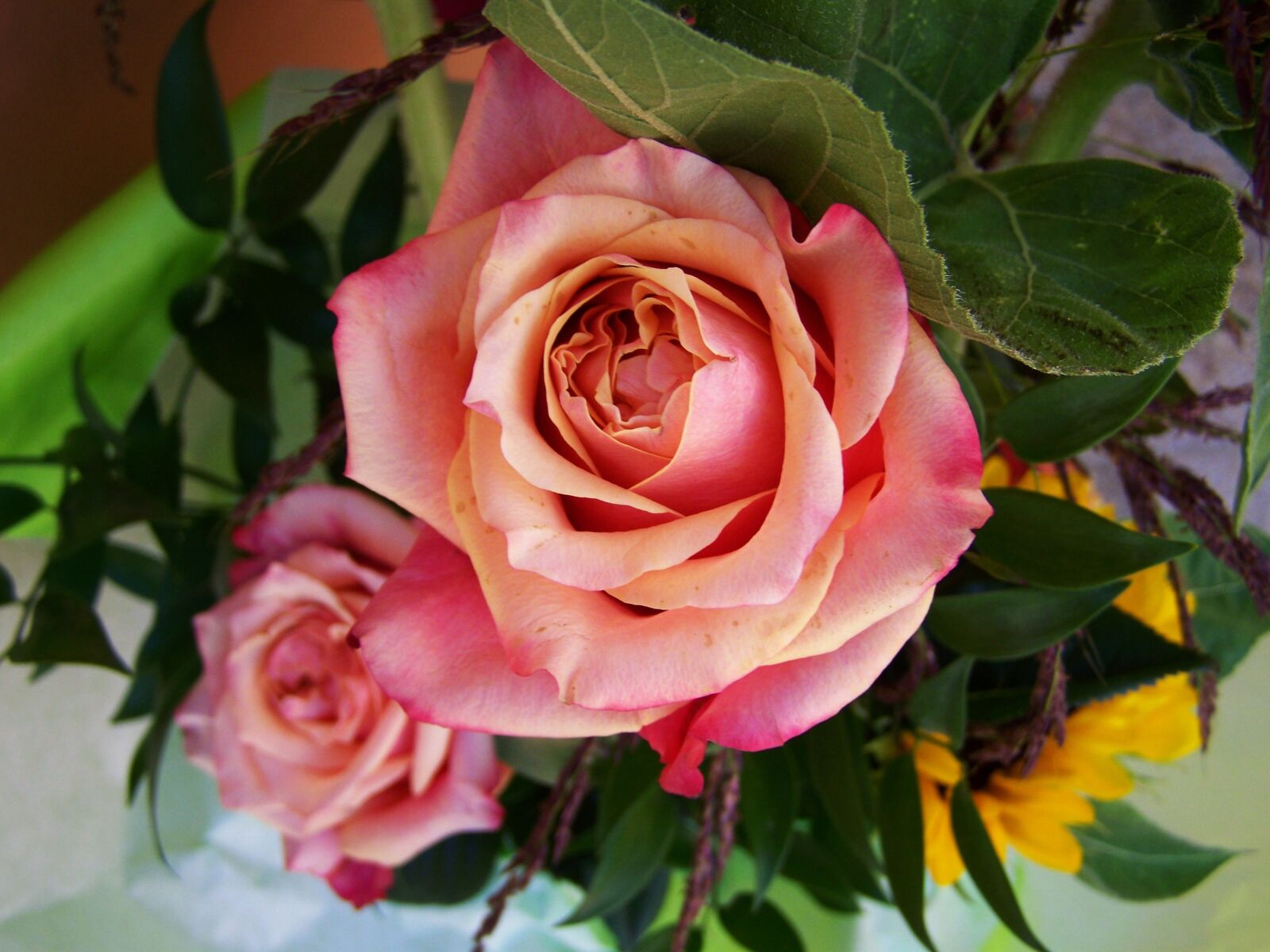 Kodak EASYSHARE ZD710 ZOOM DIGITAL CAMERA sample photo. Bunch of flowers, rose photography