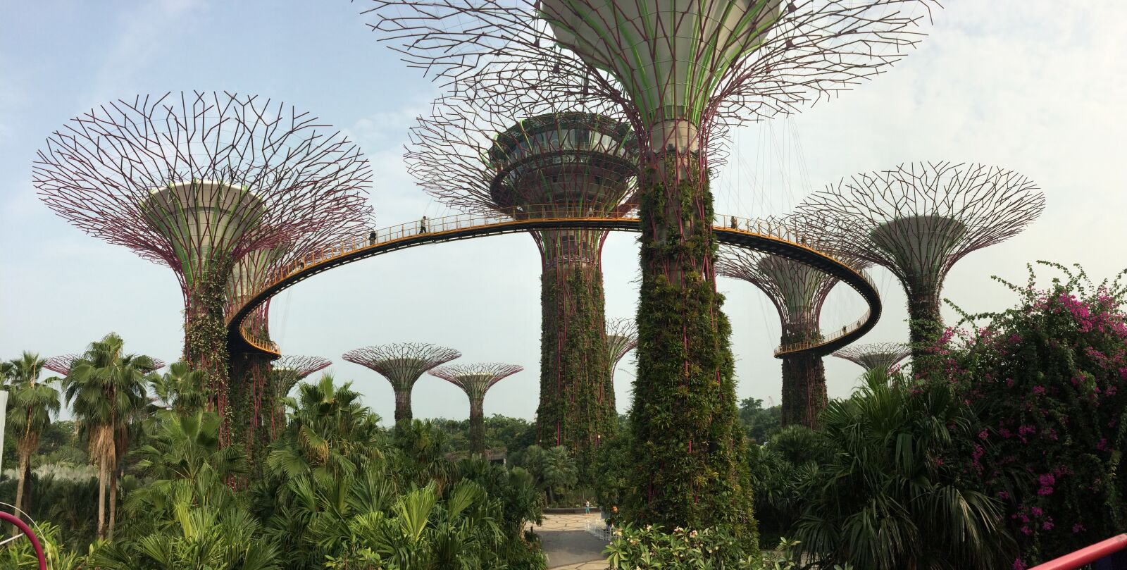 iPhone 5s back camera 4.15mm f/2.2 sample photo. Singapore, gardens by the photography