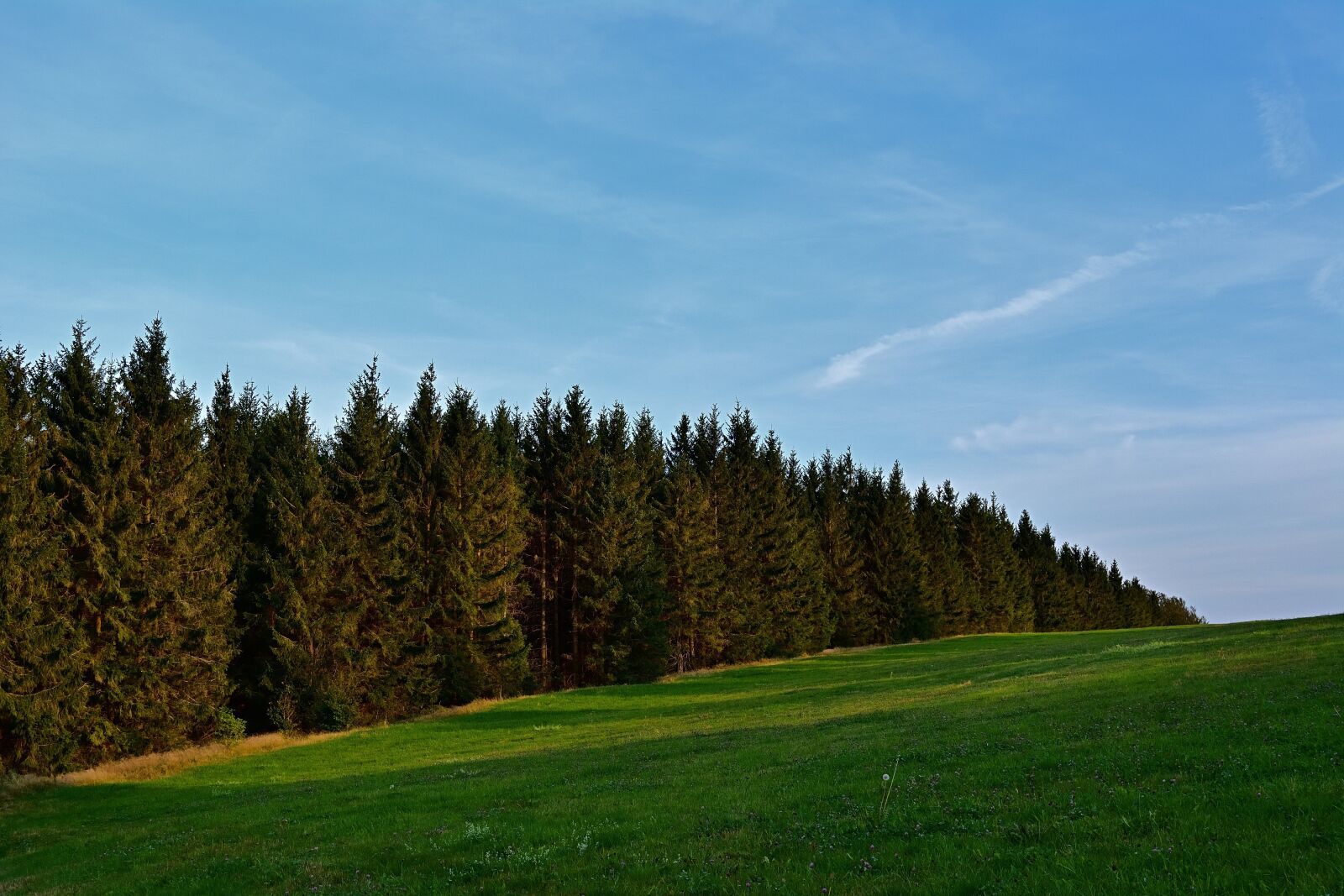 Nikon D5200 sample photo. Thuringian forest, rennsteig, sunset photography