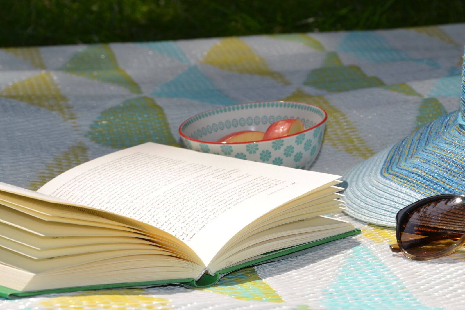 Nikon D3100 sample photo. Summer, sun, book photography