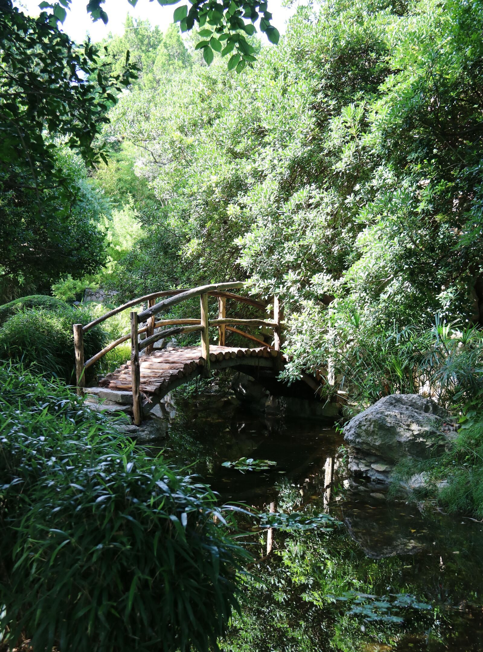 Canon EOS 750D (EOS Rebel T6i / EOS Kiss X8i) sample photo. Japanese, park, nature photography