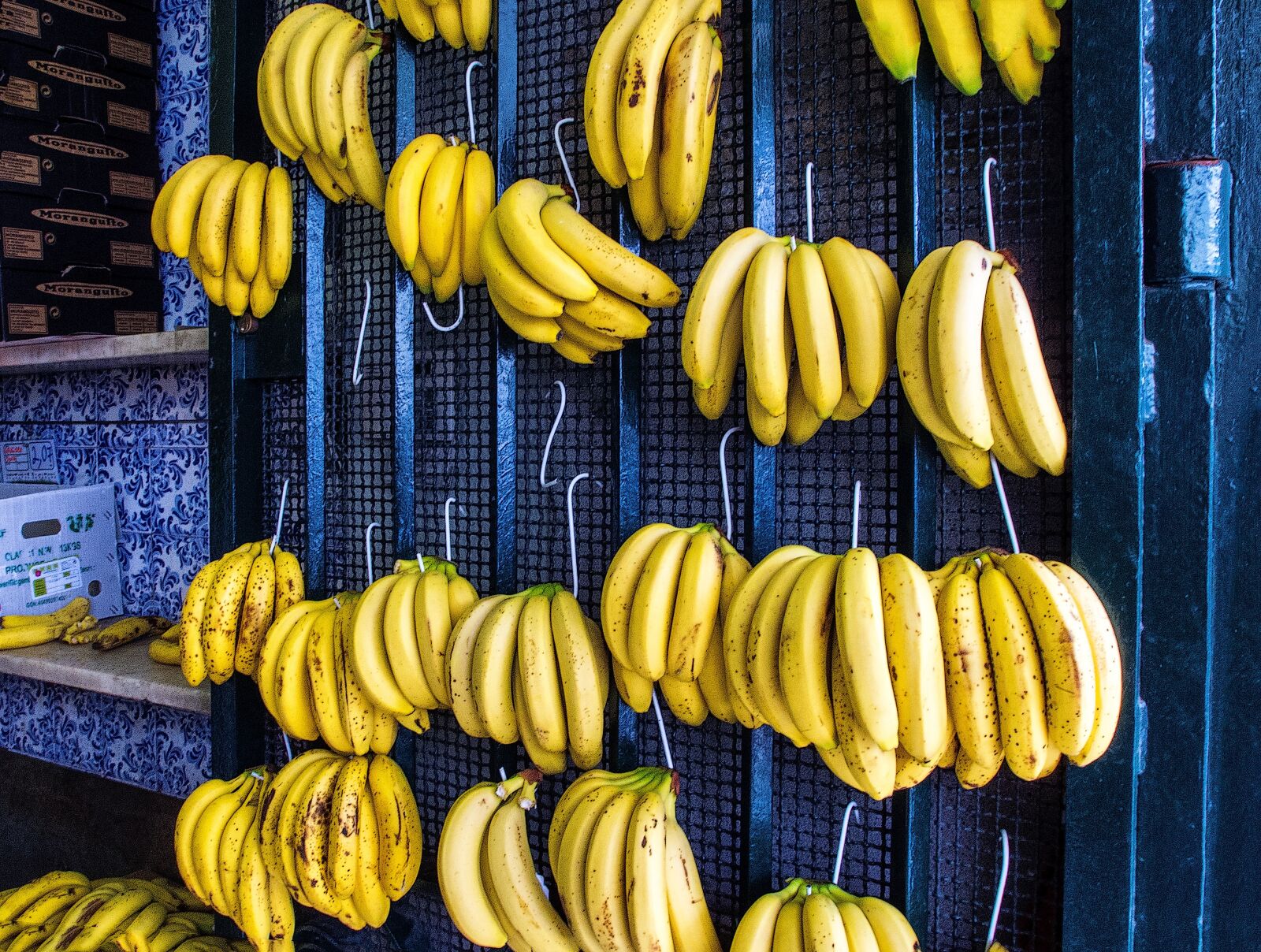 Olympus XZ-1 sample photo. Banana, fruit, greengrocers photography