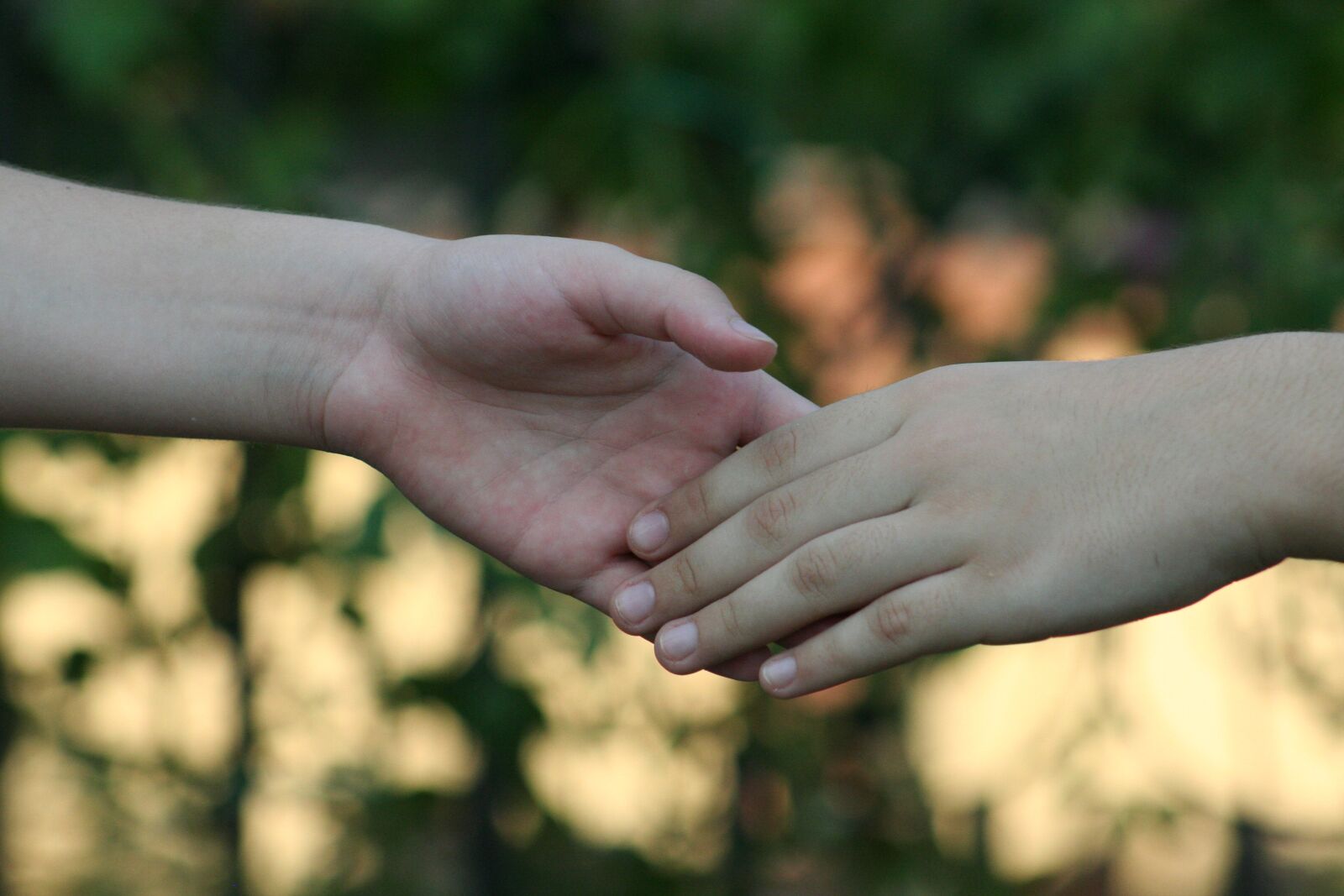 Canon EOS 350D (EOS Digital Rebel XT / EOS Kiss Digital N) sample photo. Hands, friendship, together photography