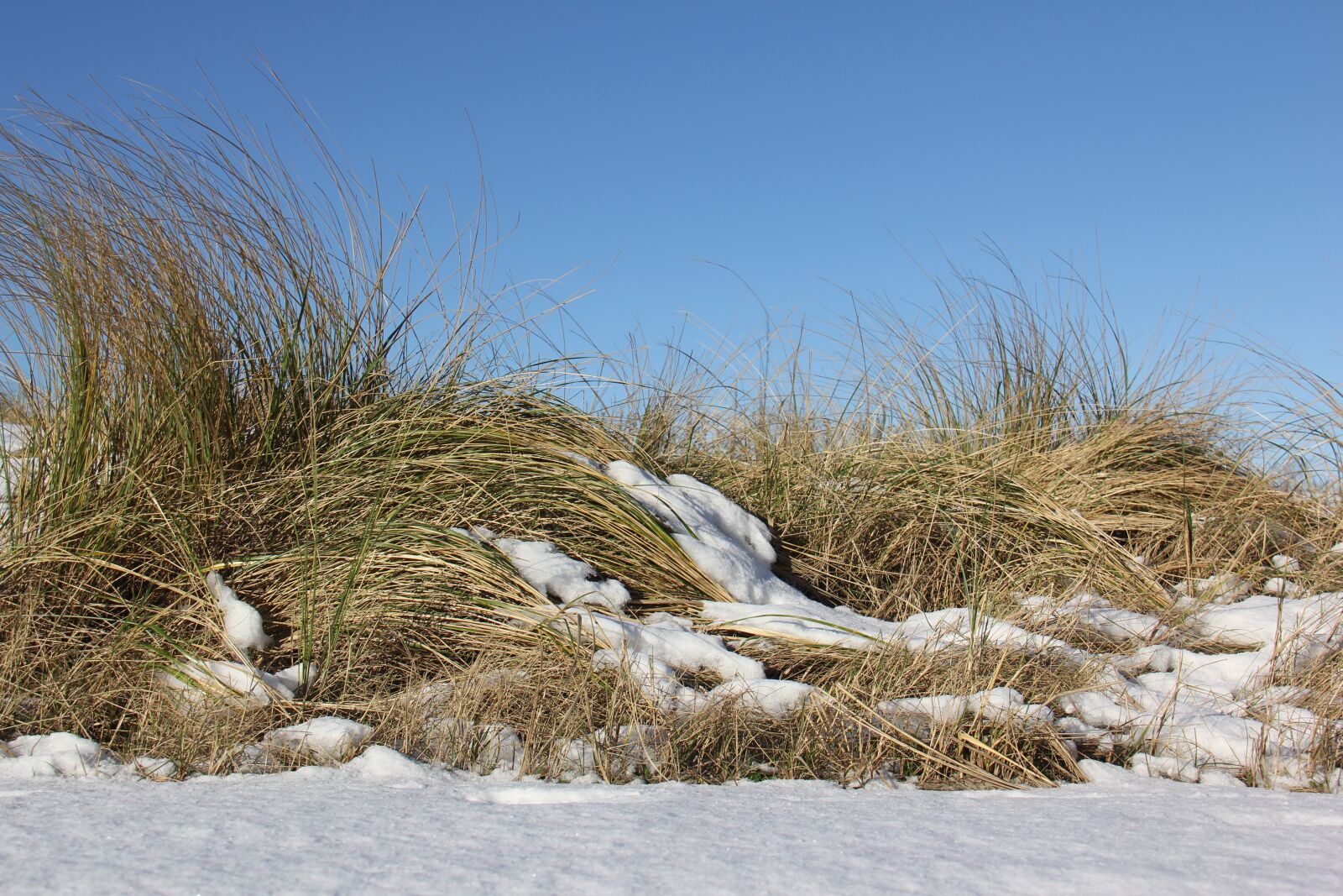 Canon EF-S 18-200mm F3.5-5.6 IS sample photo. Nature, winter, snow photography