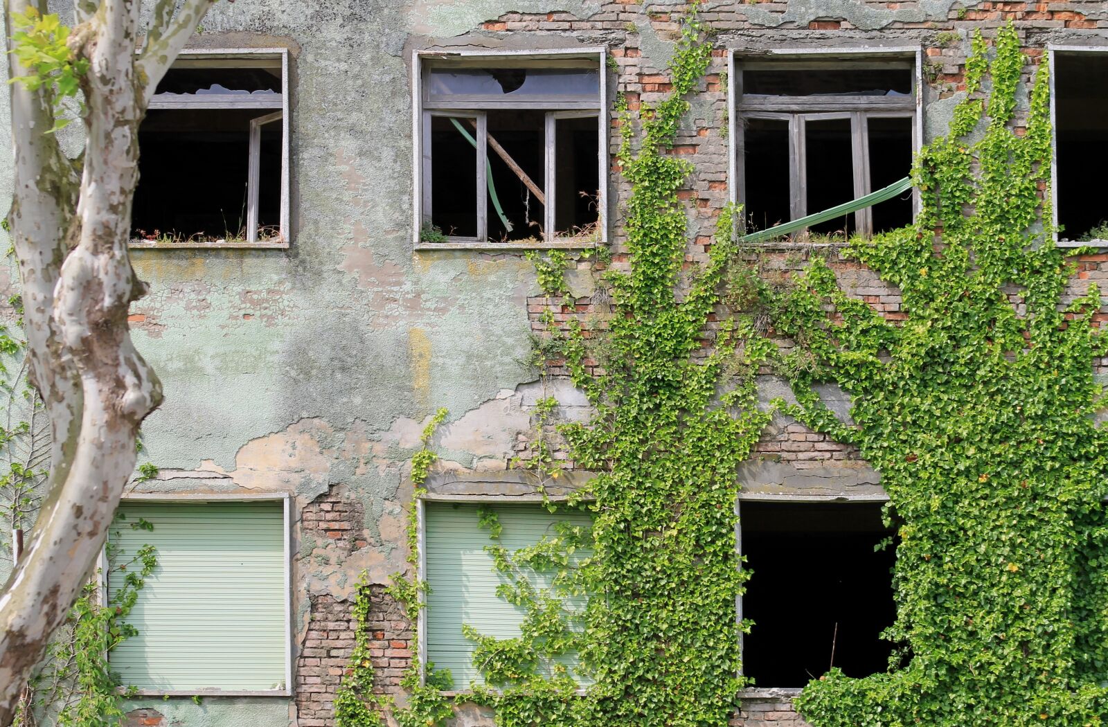 Canon EOS 1100D (EOS Rebel T3 / EOS Kiss X50) sample photo. Fart, windows, ruined house photography