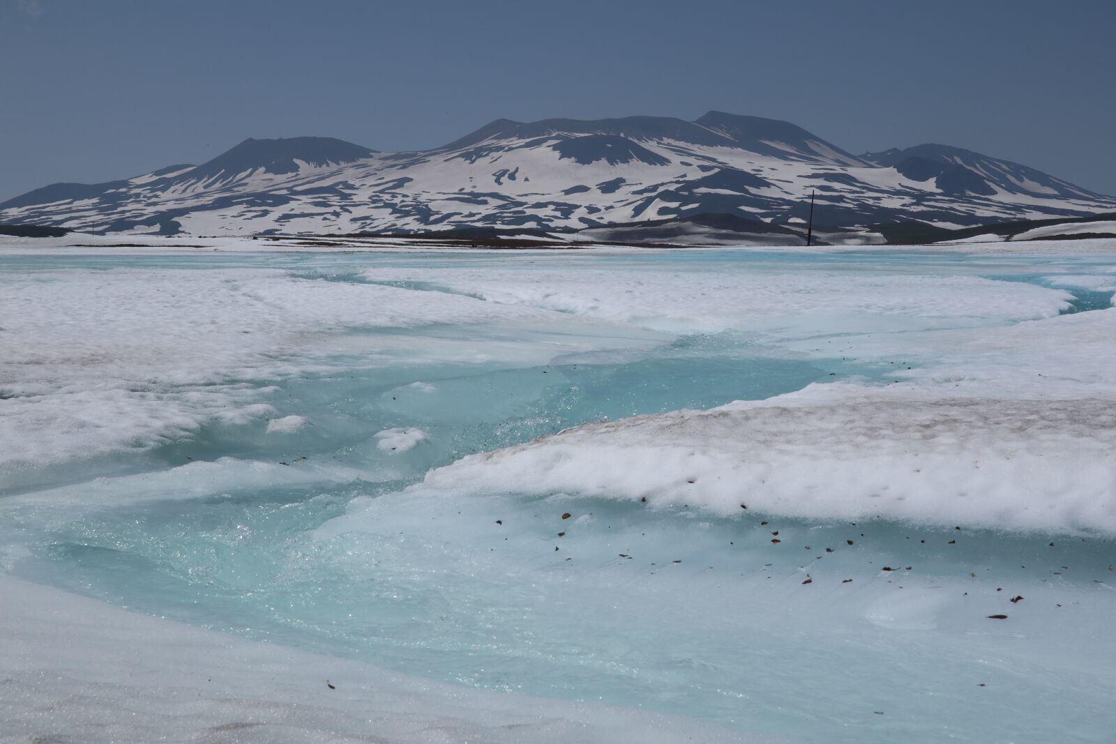 Canon PowerShot G1 X Mark III sample photo. Spring, summer, winter photography