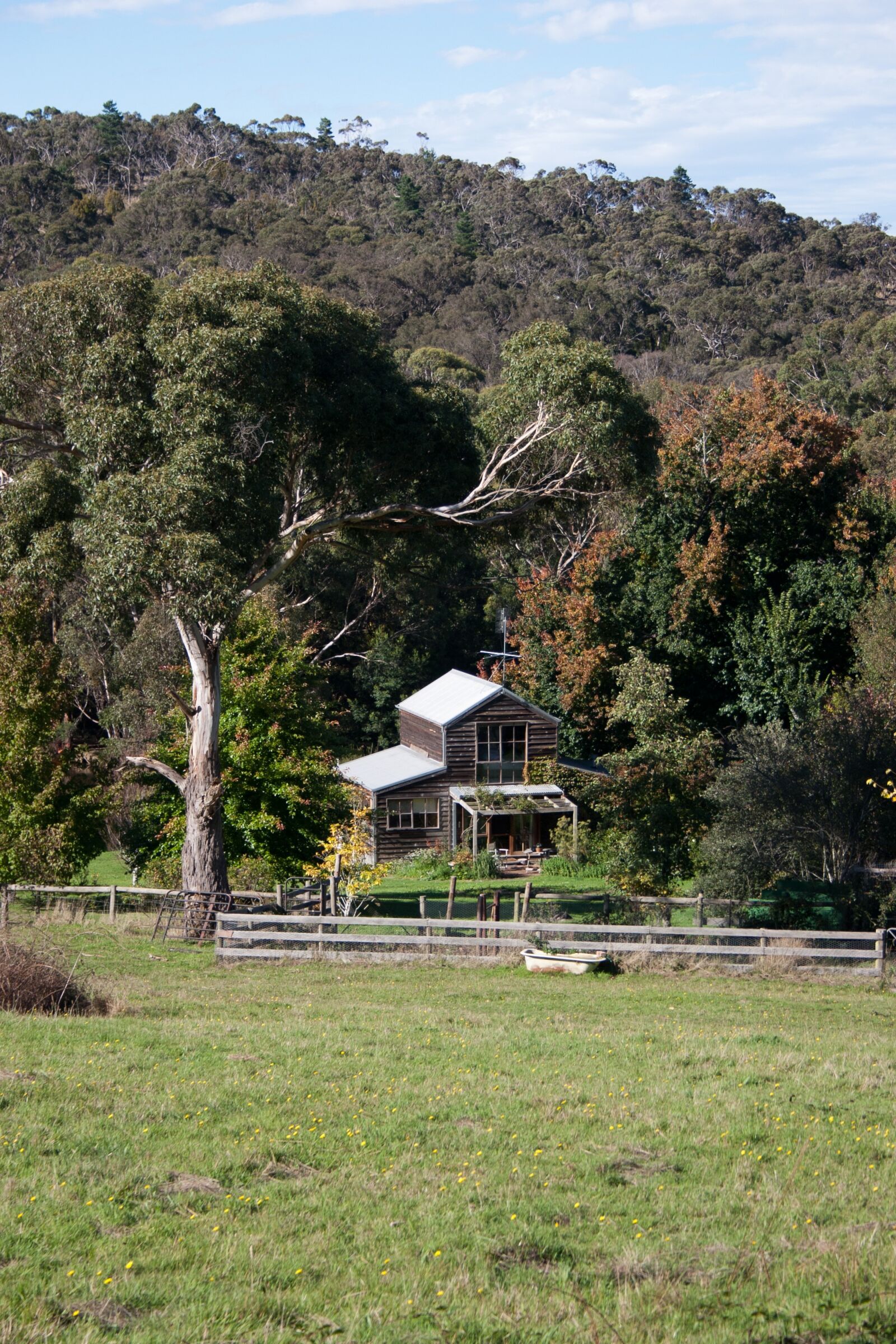 Canon EOS 300D (EOS Digital Rebel / EOS Kiss Digital) sample photo. Mount macedon, victoria, meadow photography