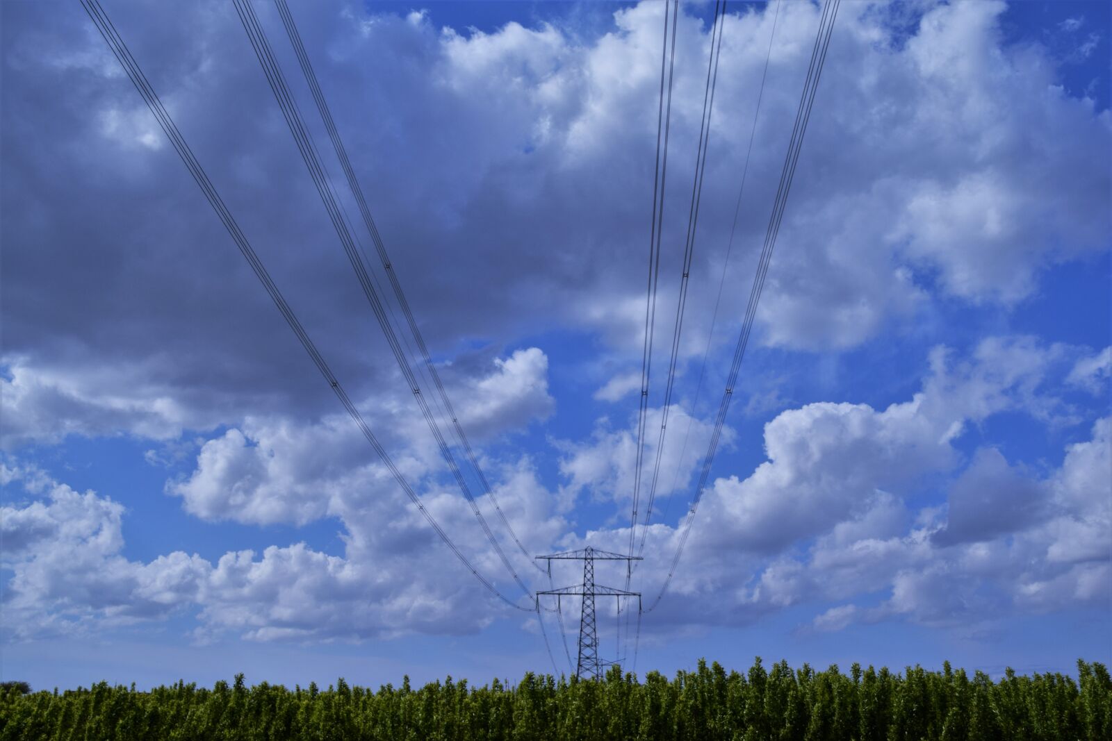 Nikon D3300 sample photo. Pylon, air, clouds photography