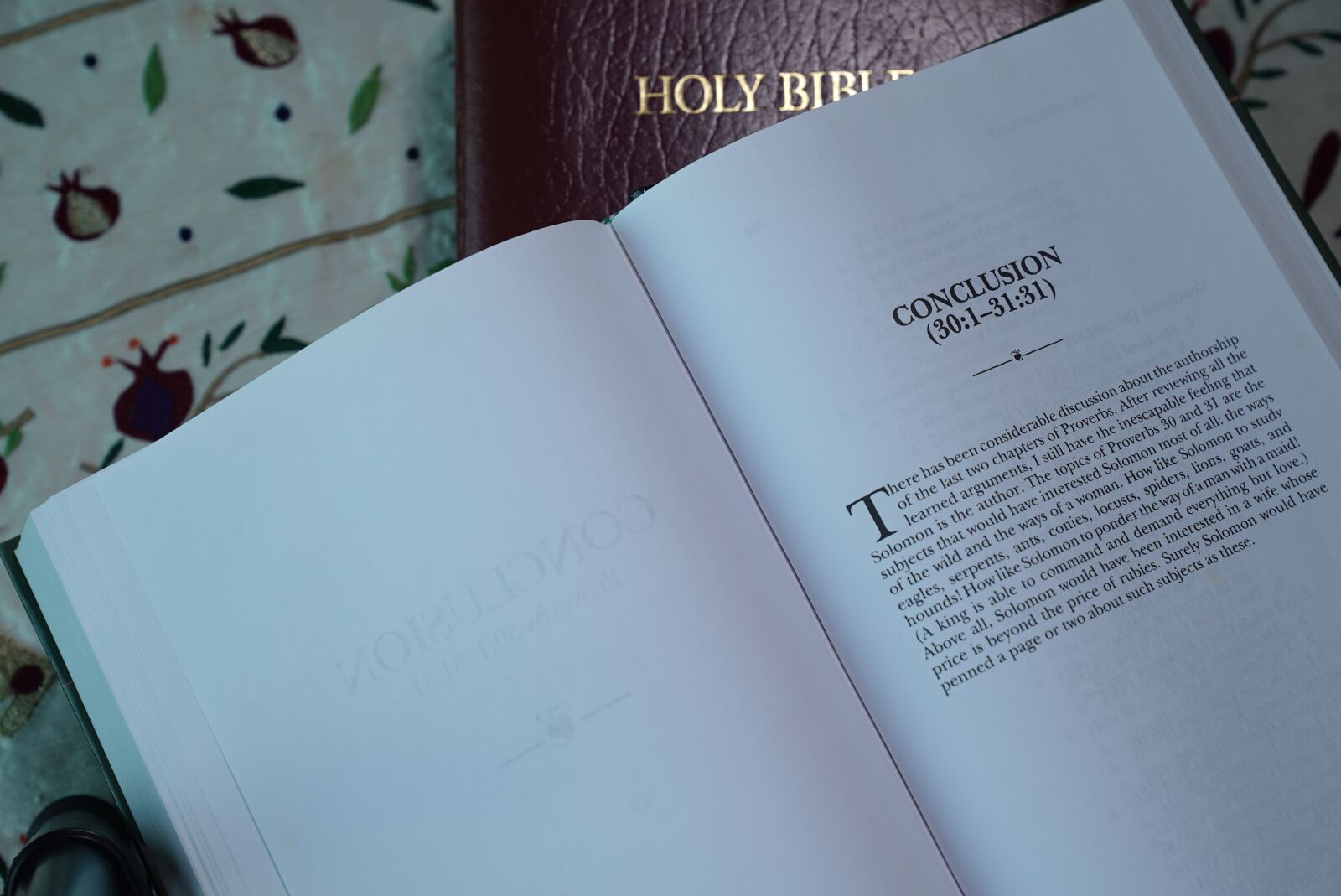 Sony a7S + Sony FE 24-70mm F2.8 GM sample photo. Bible, proverbs, scripture photography