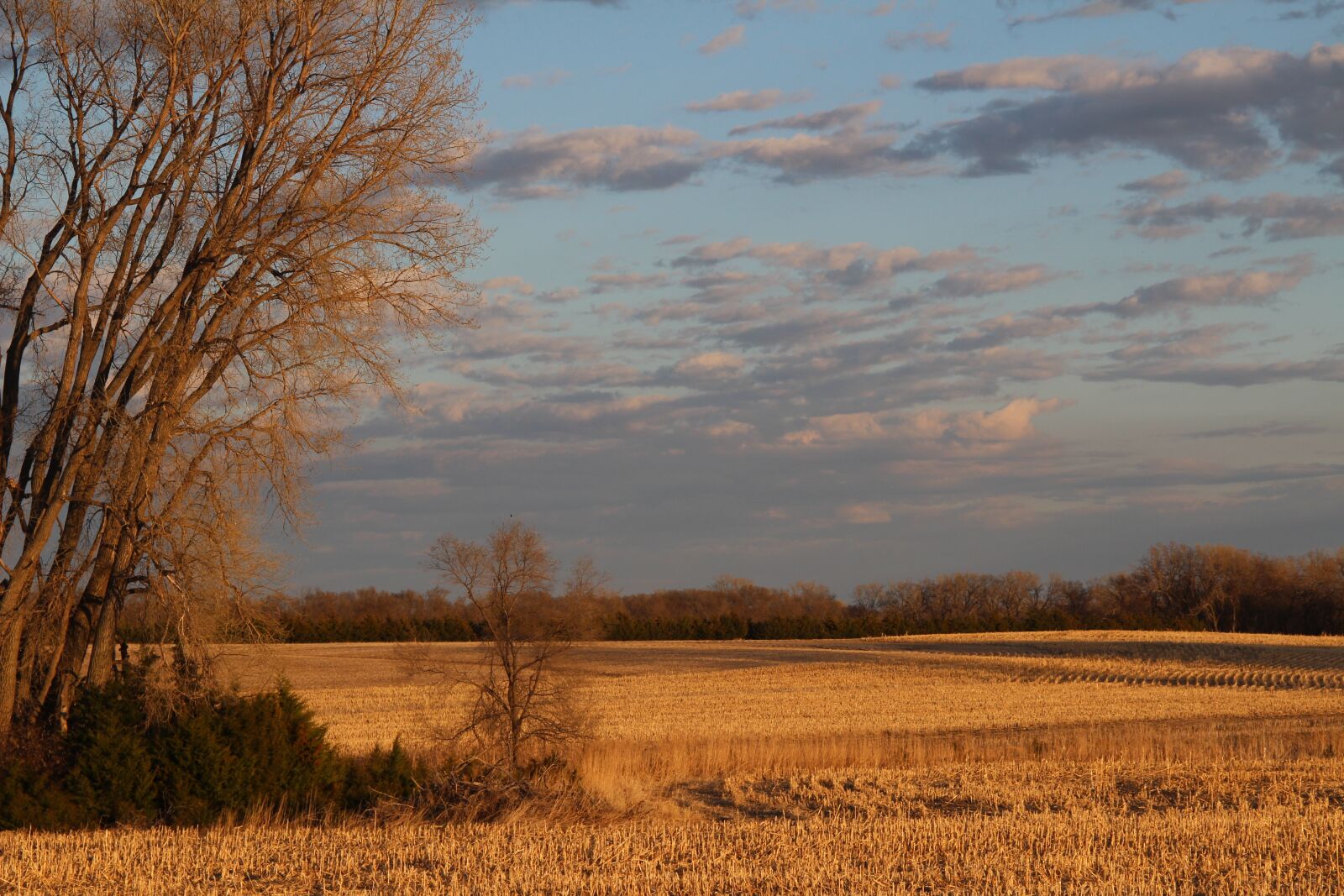 Canon EF 24-105mm F3.5-5.6 IS STM sample photo. Field, sunset, landscape photography