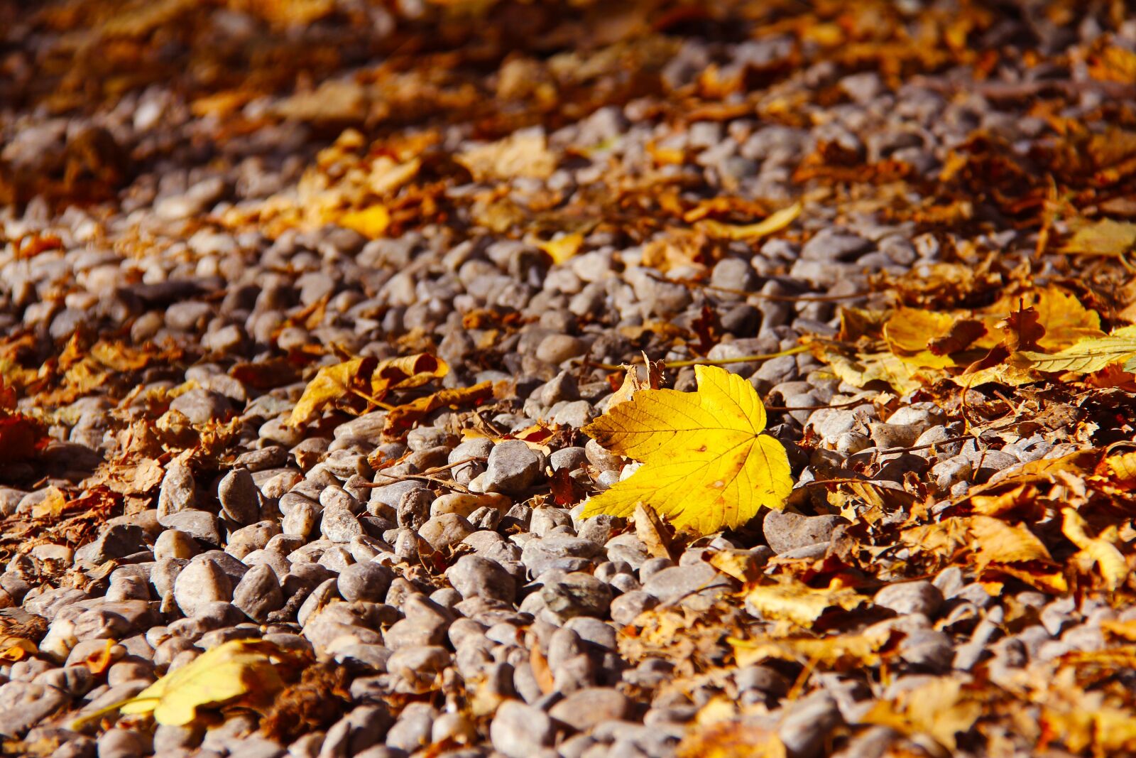 Canon EF-S 18-200mm F3.5-5.6 IS sample photo. Famous, popular, historic photography