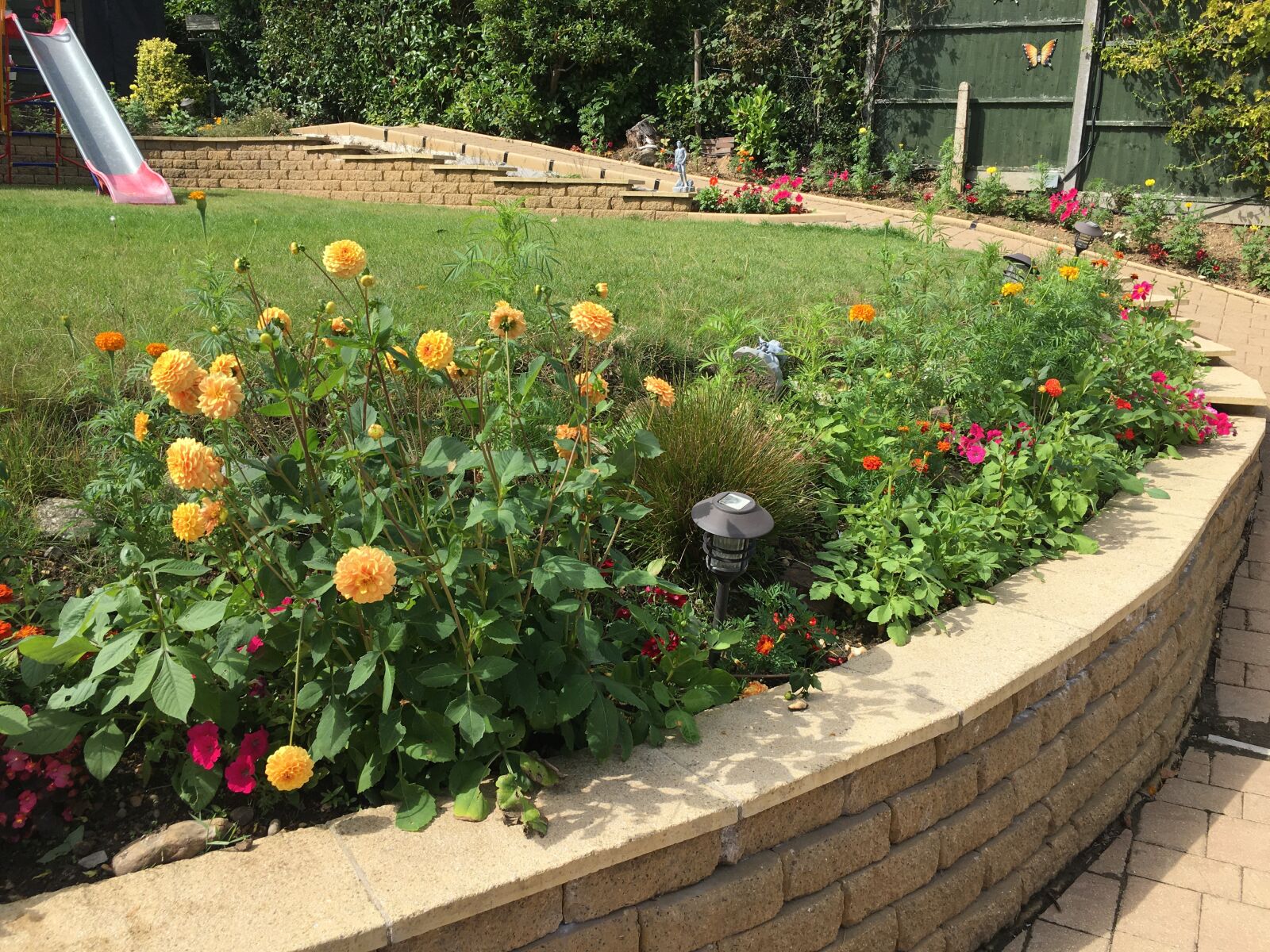 iPhone 6s Plus back camera 4.15mm f/2.2 sample photo. Flowers, garden, farnham photography