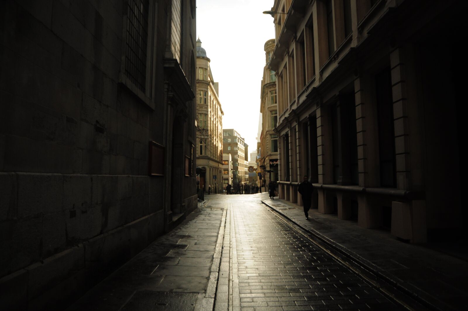 Nikon D90 sample photo. Overcast weather, spooky feeling photography