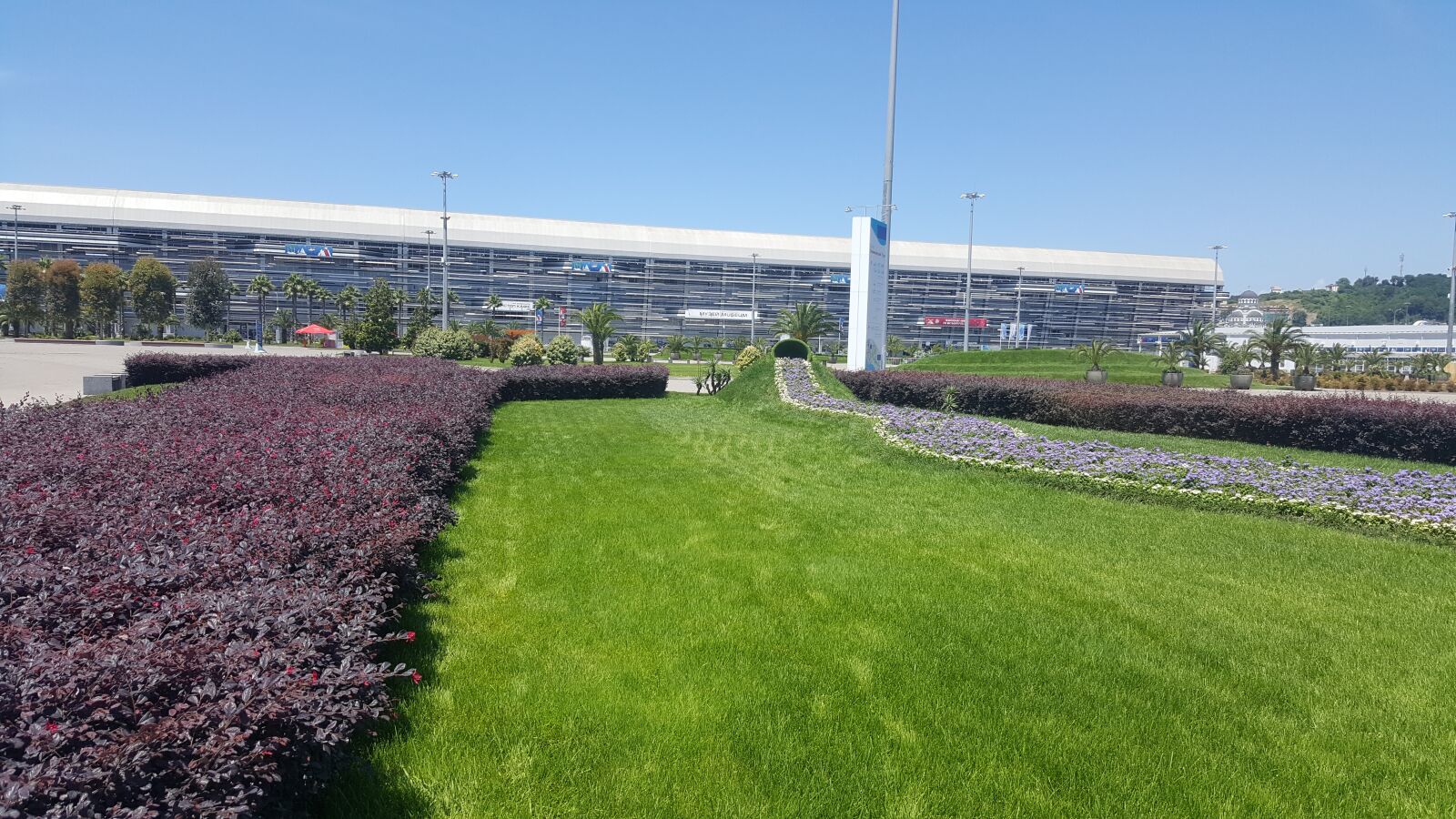 Samsung Galaxy S6 sample photo. клумба, курорт, лаванда photography