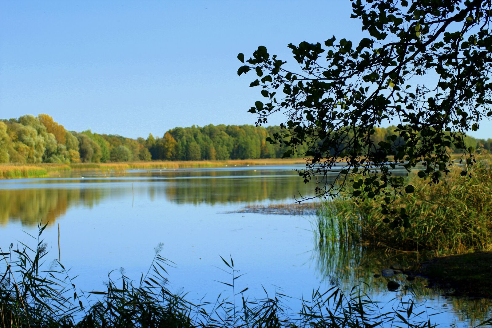 Canon EOS 1200D (EOS Rebel T5 / EOS Kiss X70 / EOS Hi) sample photo. Lake, water, landscape photography