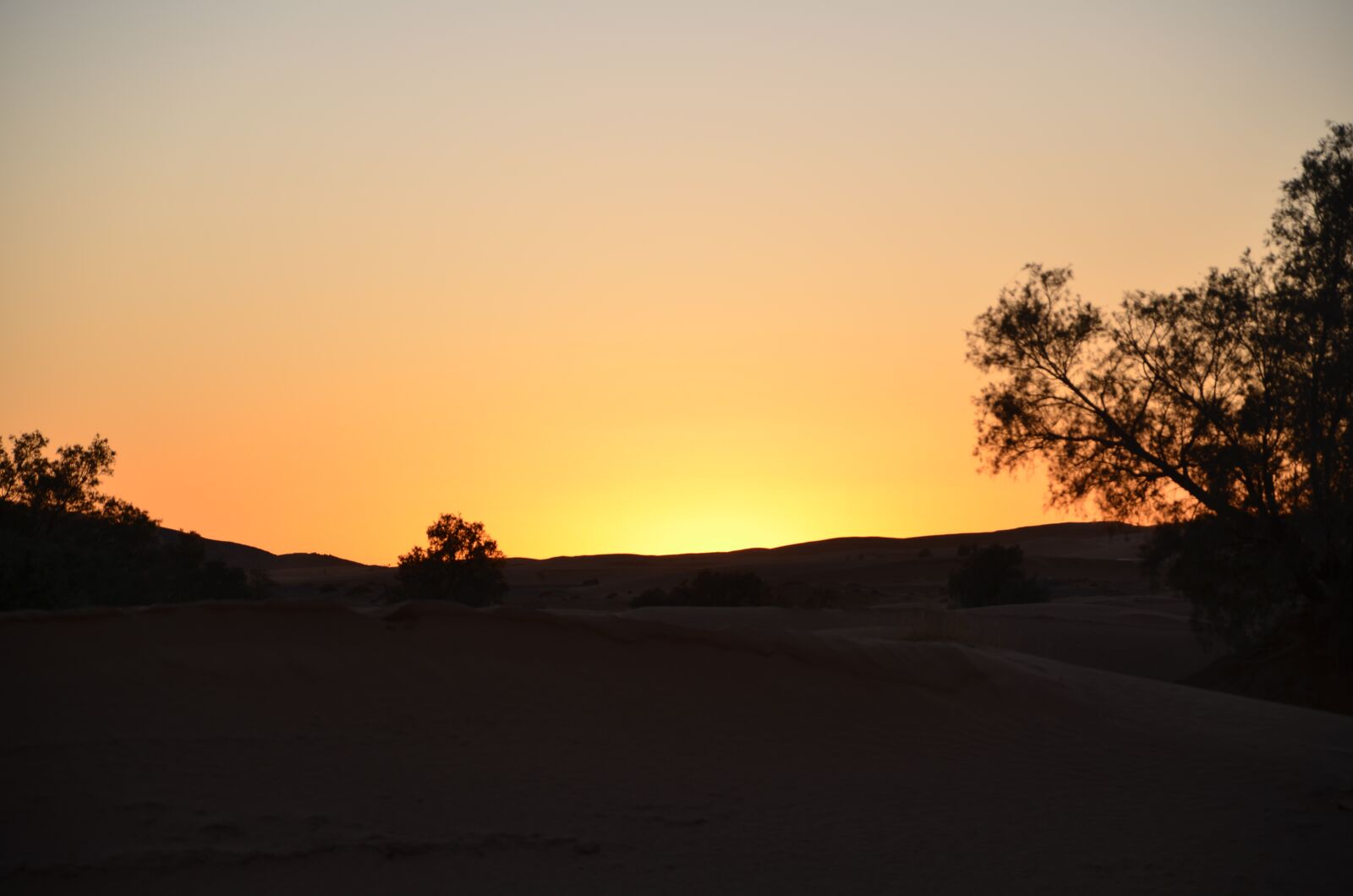 Nikon D5100 sample photo. Sunset, desert, landscape photography