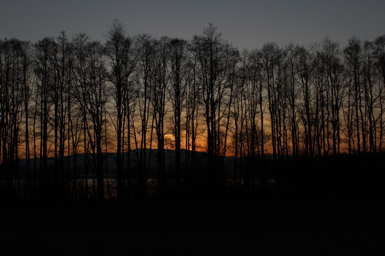 Canon EOS 1300D (EOS Rebel T6 / EOS Kiss X80) sample photo. Sunset, trees, nature photography