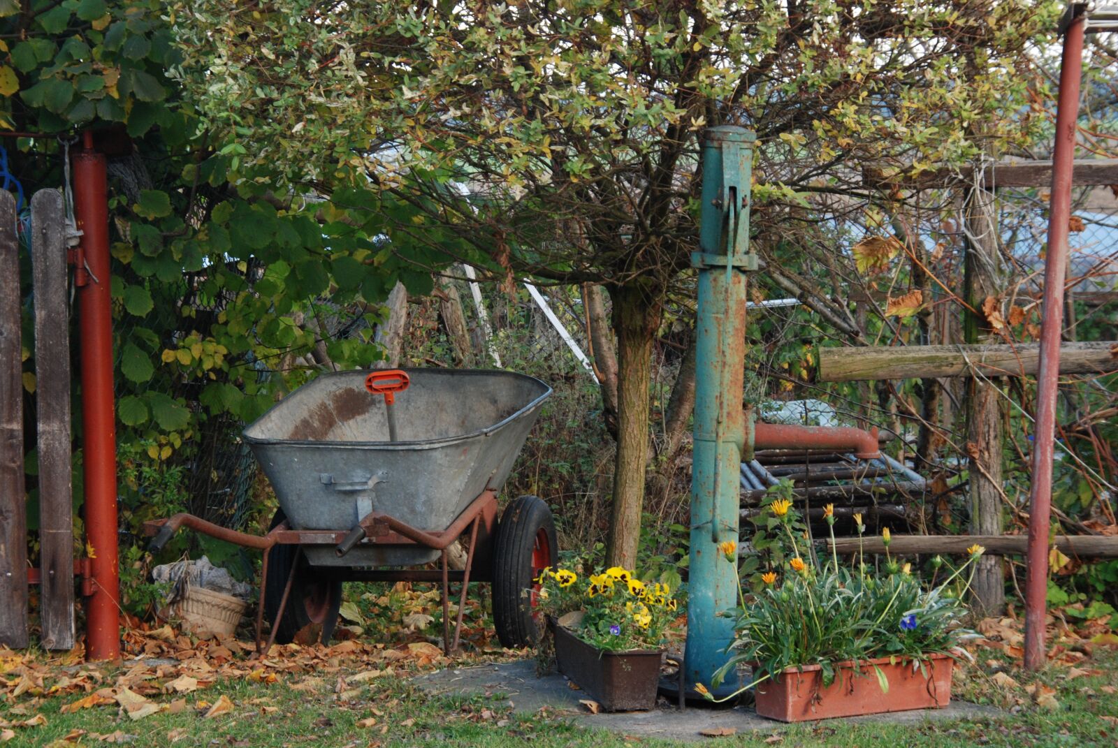 Nikon D80 sample photo. Garden, wheelbarrow, pump photography