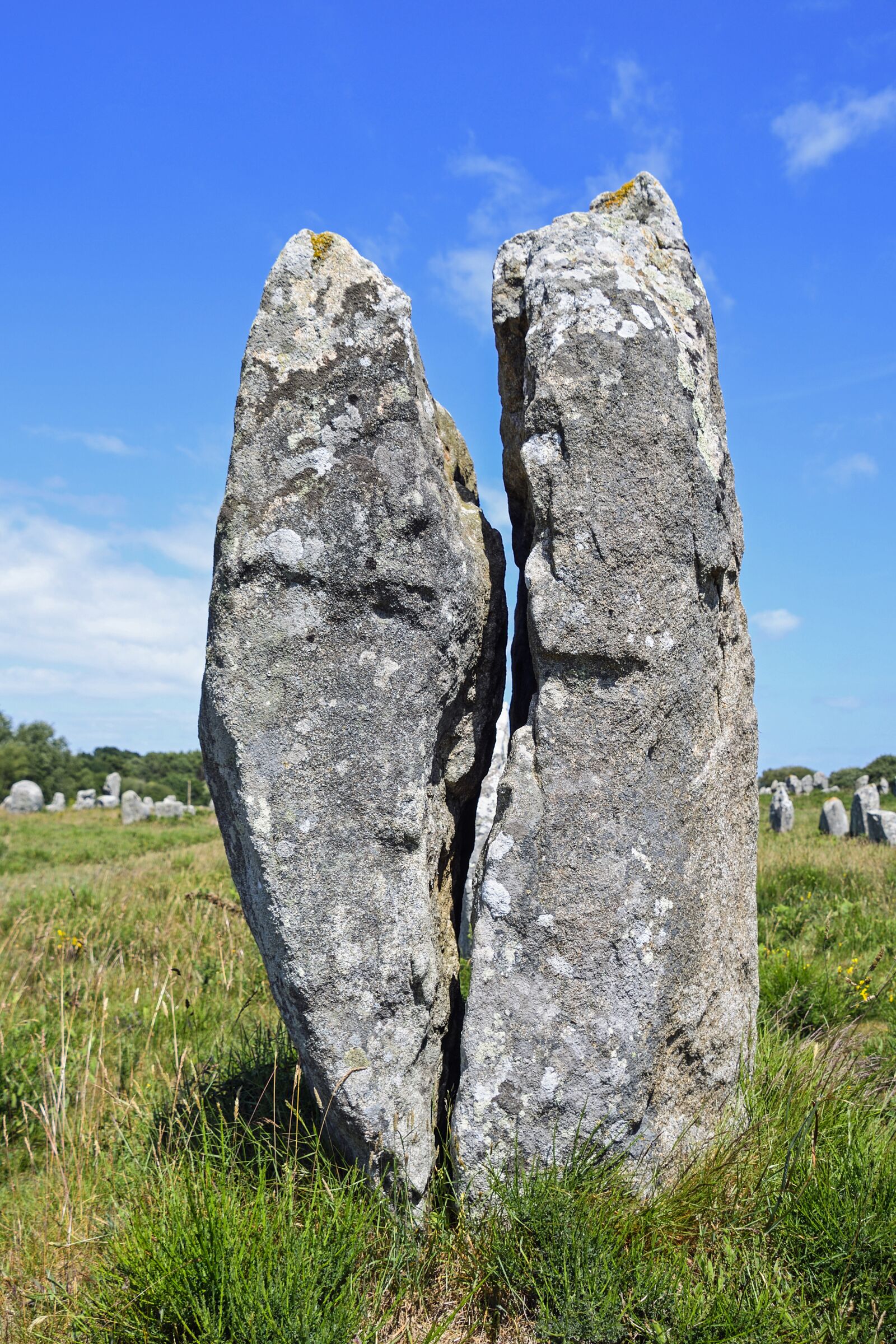 Nikon D500 sample photo. Menhir, pierre, carnac photography