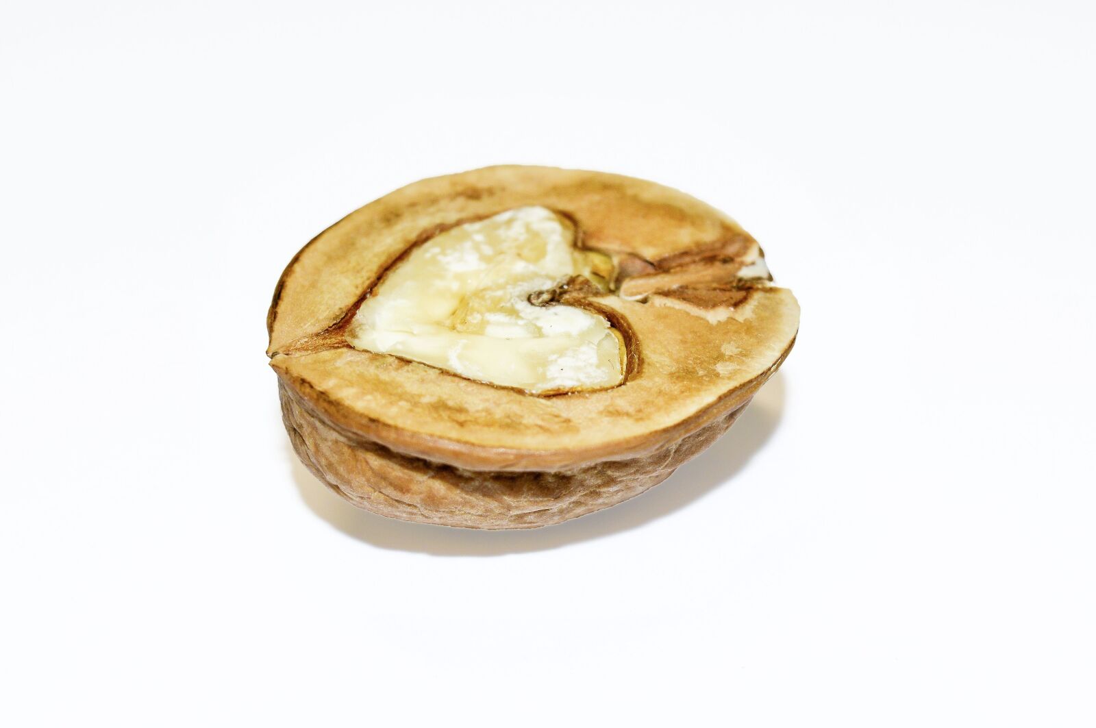 Nikon D3200 sample photo. Nut, walnut, nuts photography