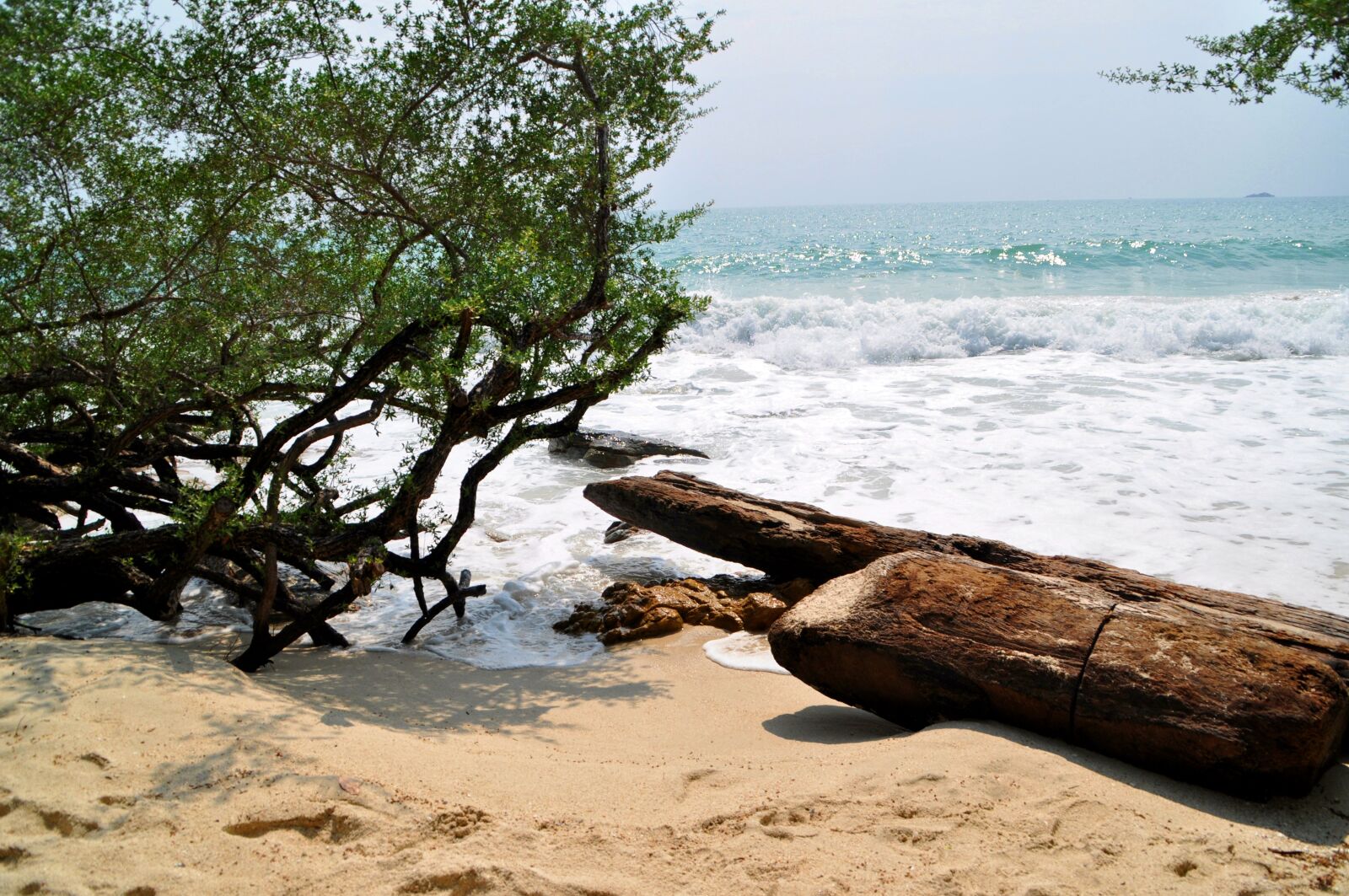 Nikon D5000 sample photo. Sea, beach, drift wood photography