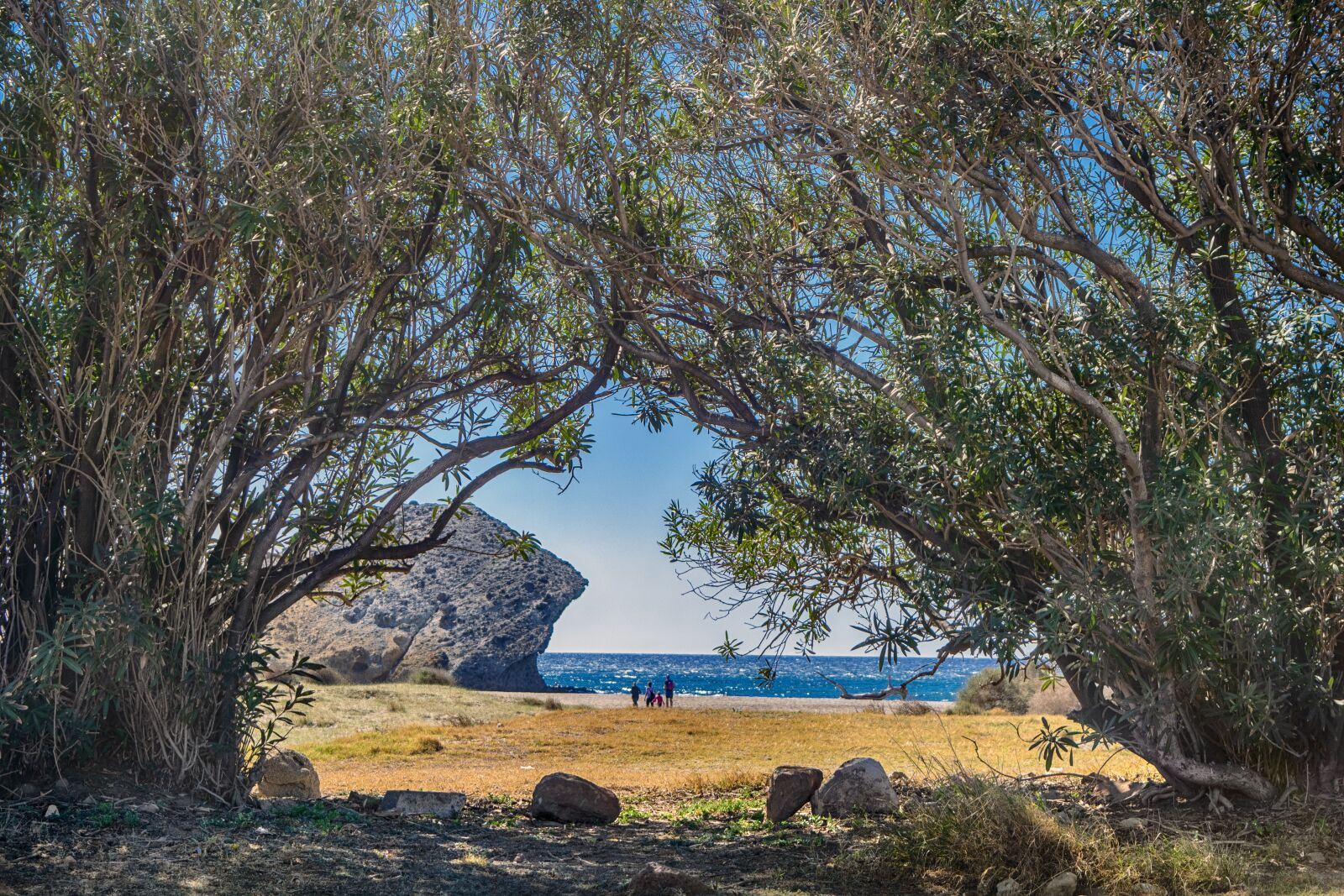 Nikon D3300 sample photo. Beach, sea, nature photography