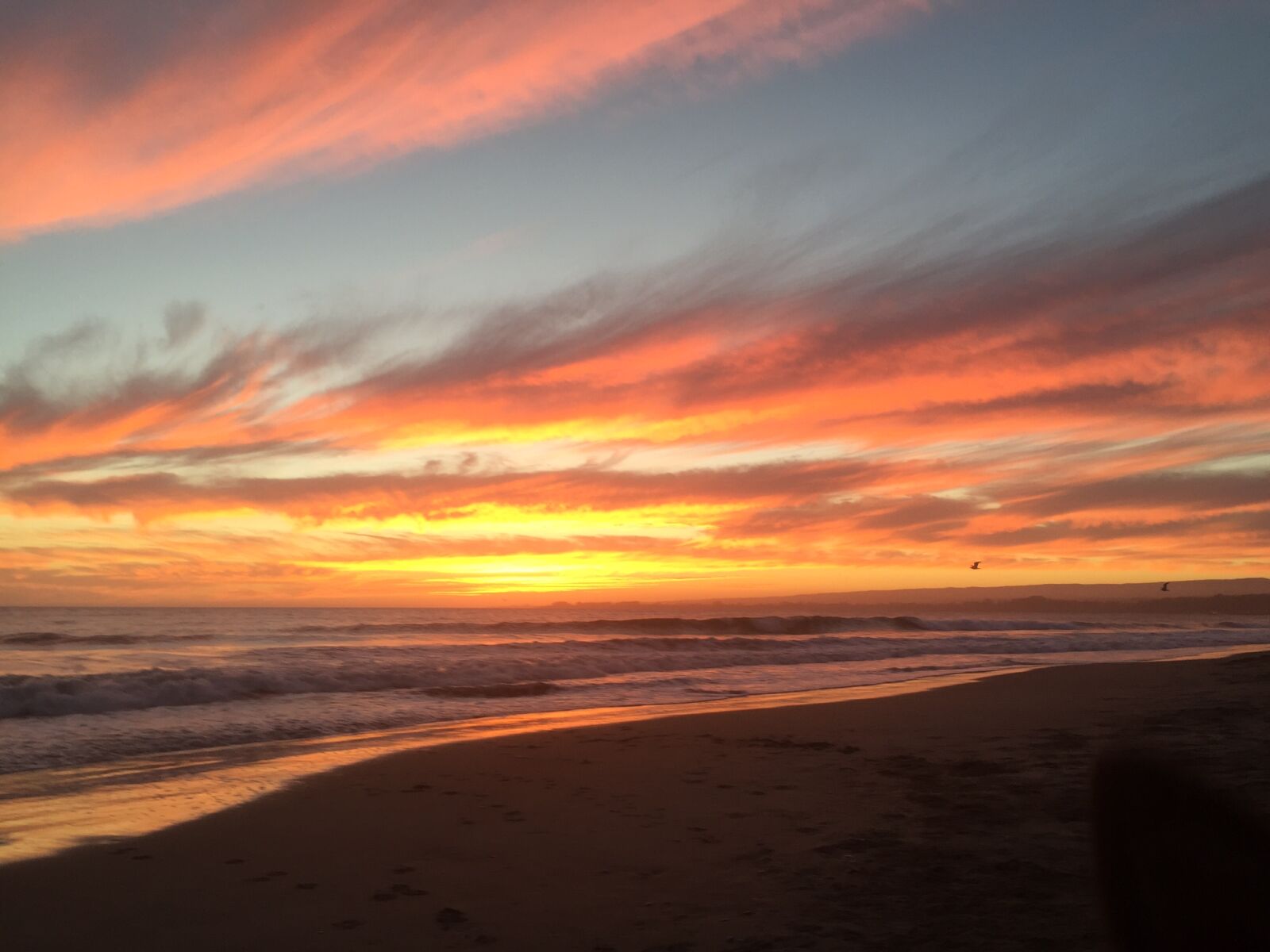 iPhone 6 back camera 4.15mm f/2.2 sample photo. Beach, santa, cruz, sunset photography