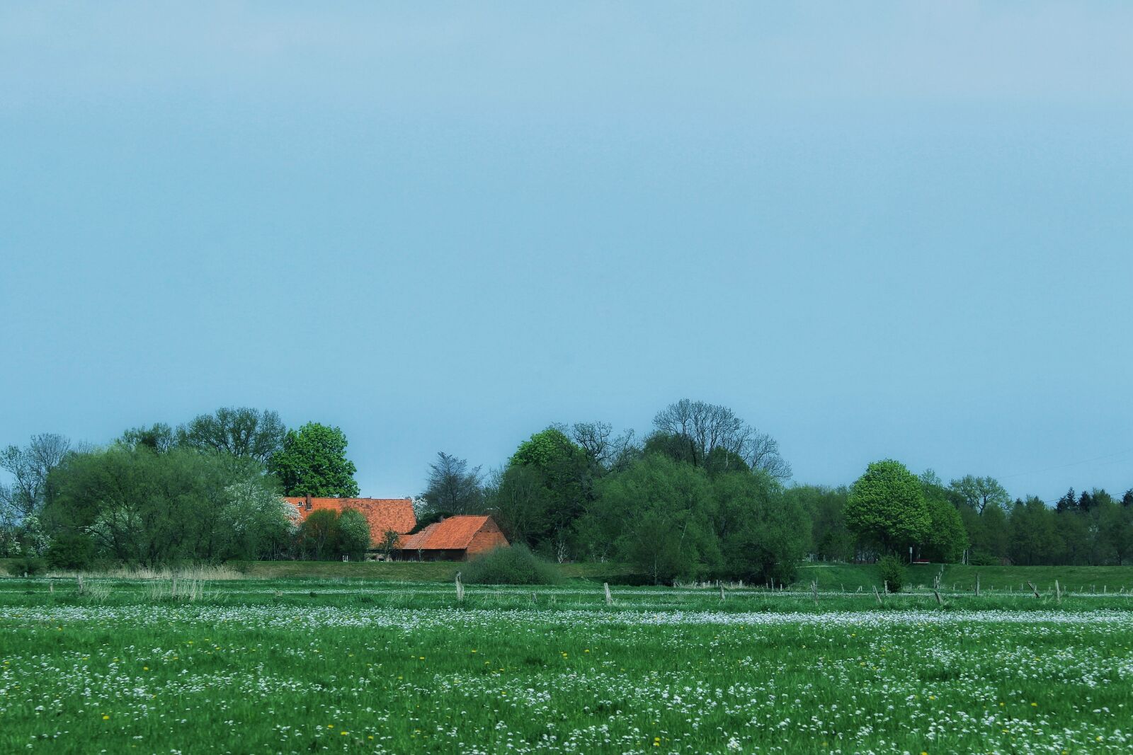 Canon EF-S 55-250mm F4-5.6 IS STM sample photo. Agriculture, field, grass photography