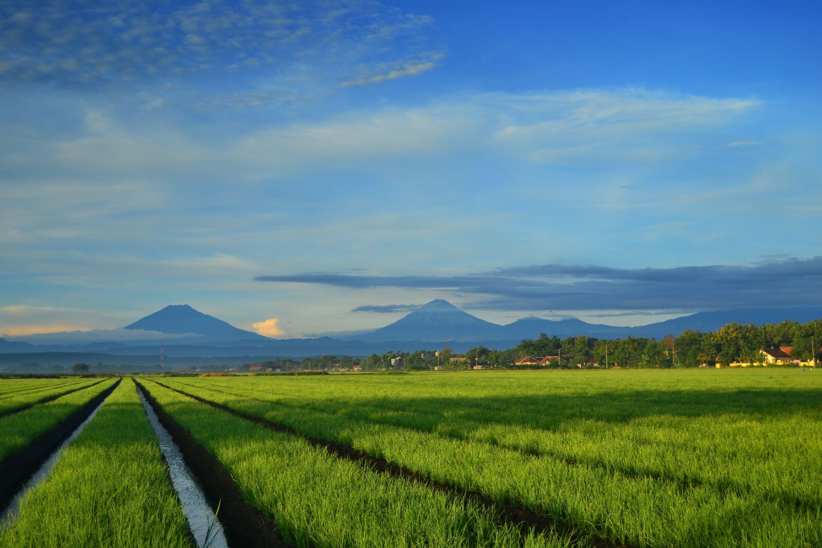 Nikon D3100 sample photo. Landscape, mountain, farm photography