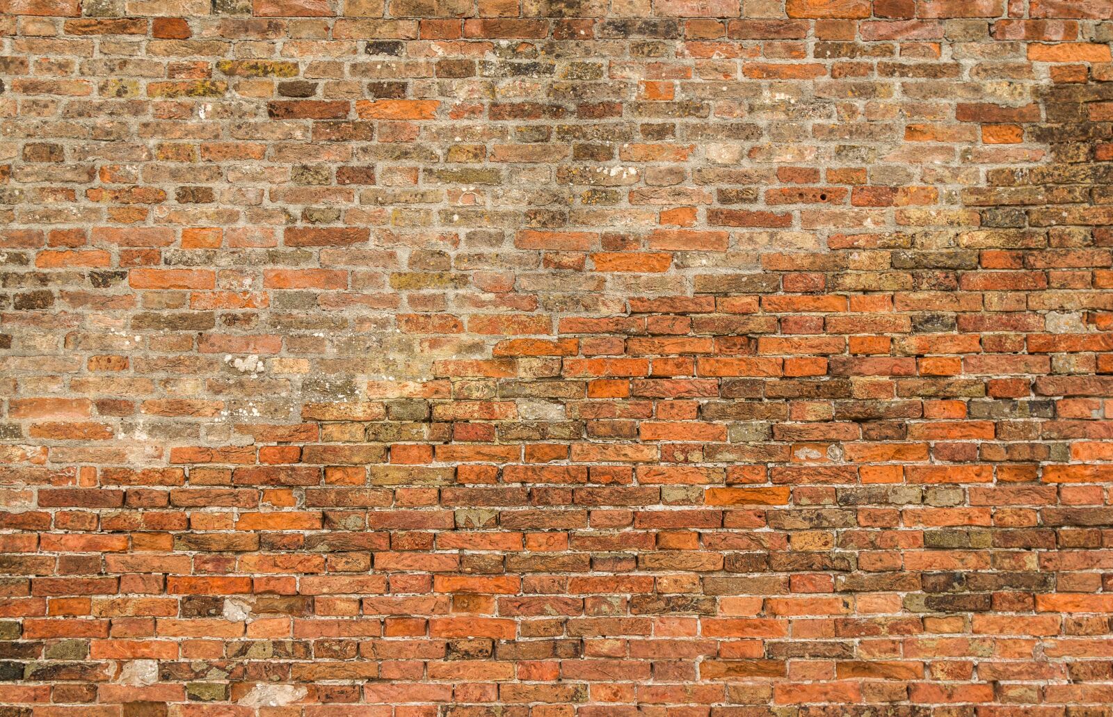 Canon EOS 70D sample photo. Brick, brick wall, wall photography