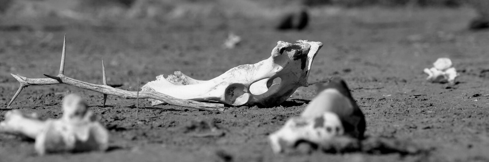 Nikon D90 sample photo. Sand, water, beach photography