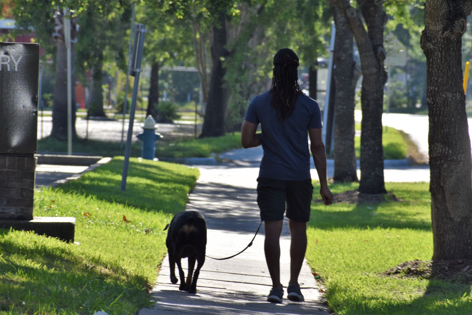 Nikon D3500 sample photo. Dog, dog walking, male photography