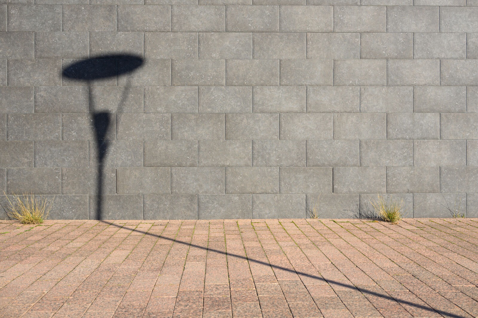 Nikon Z8 sample photo. Shadow street photography