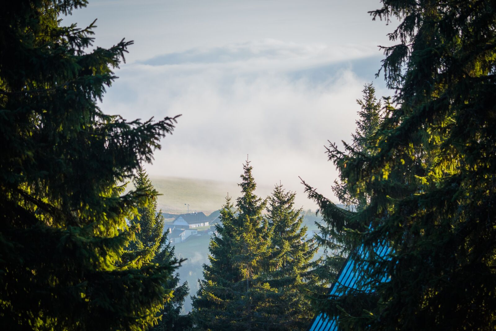 Canon EOS 100D (EOS Rebel SL1 / EOS Kiss X7) sample photo. Fog, clouds, trees photography