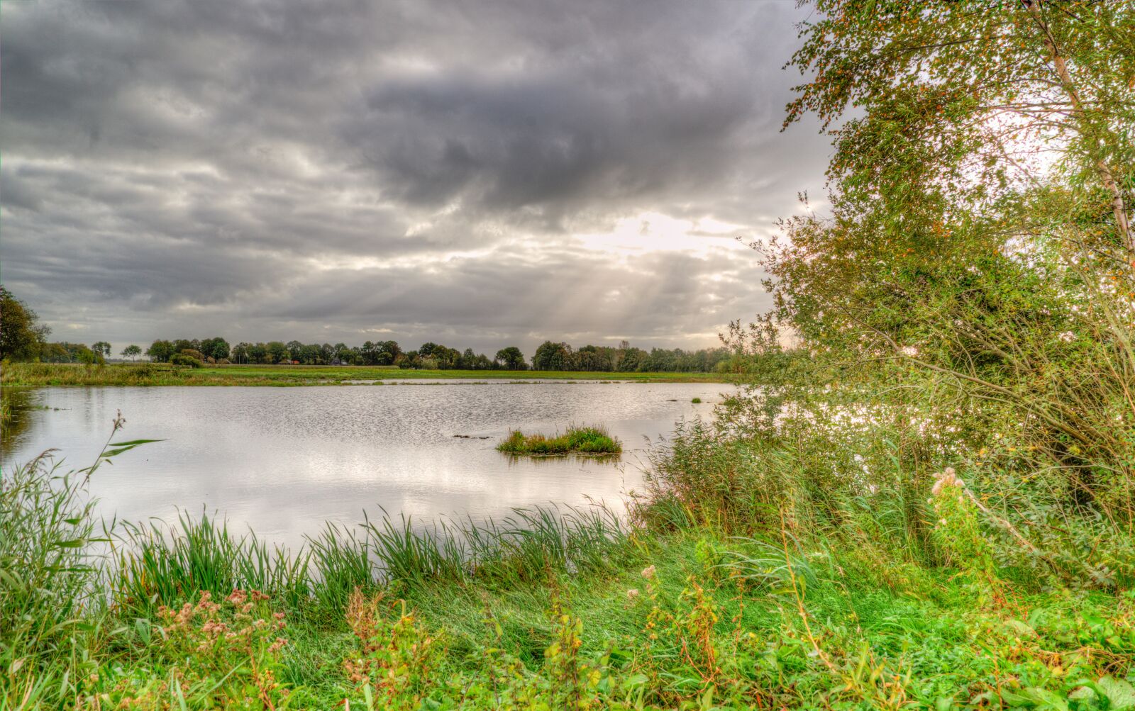 Nikon D610 sample photo. Lake, weather, rain photography