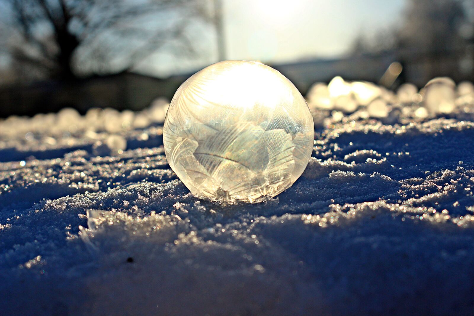 Canon EOS 100D (EOS Rebel SL1 / EOS Kiss X7) sample photo. Soap bubble, frost bubble photography