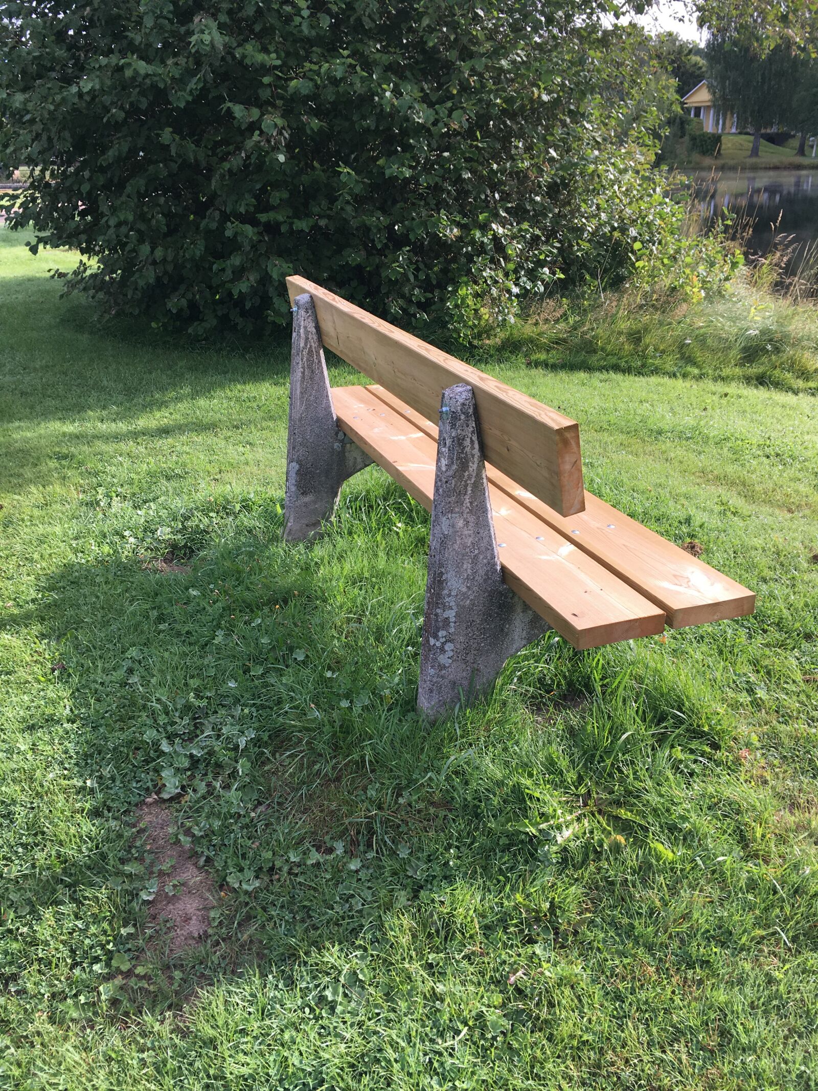 iPhone SE back camera 4.15mm f/2.2 sample photo. Bench, outside, park photography
