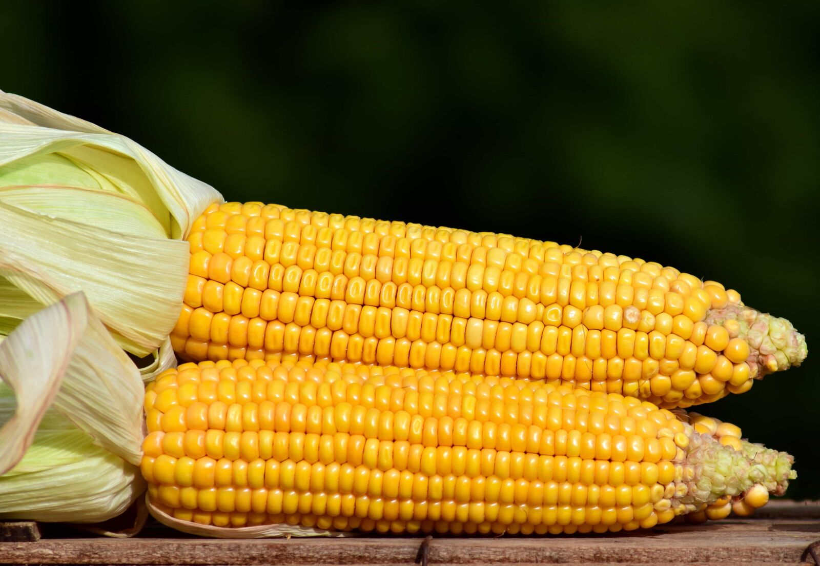 Nikon D3300 sample photo. Food, straw, grain, agriculture photography