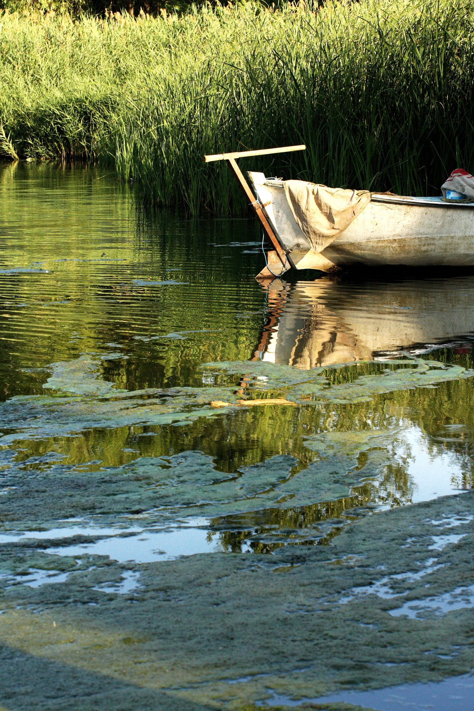 Canon EOS 40D sample photo. Boat, river, lake photography