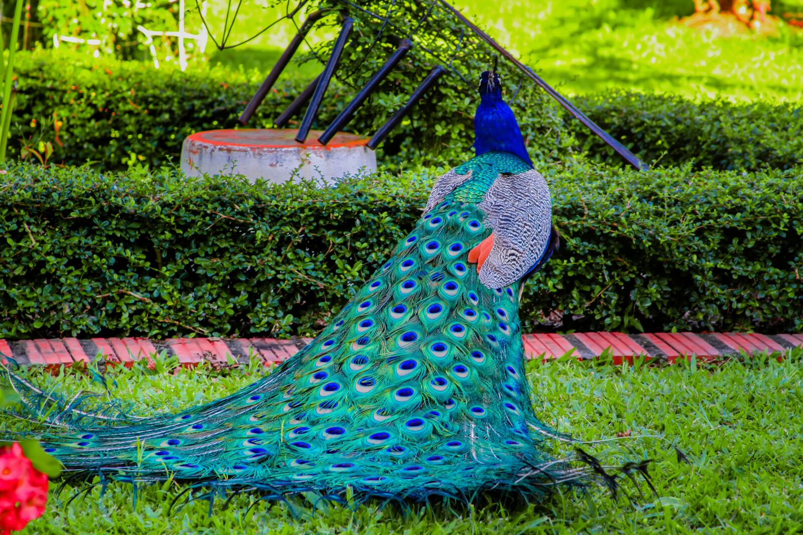 Canon EF 28-135mm F3.5-5.6 IS USM sample photo. Turkey, colors, royal photography