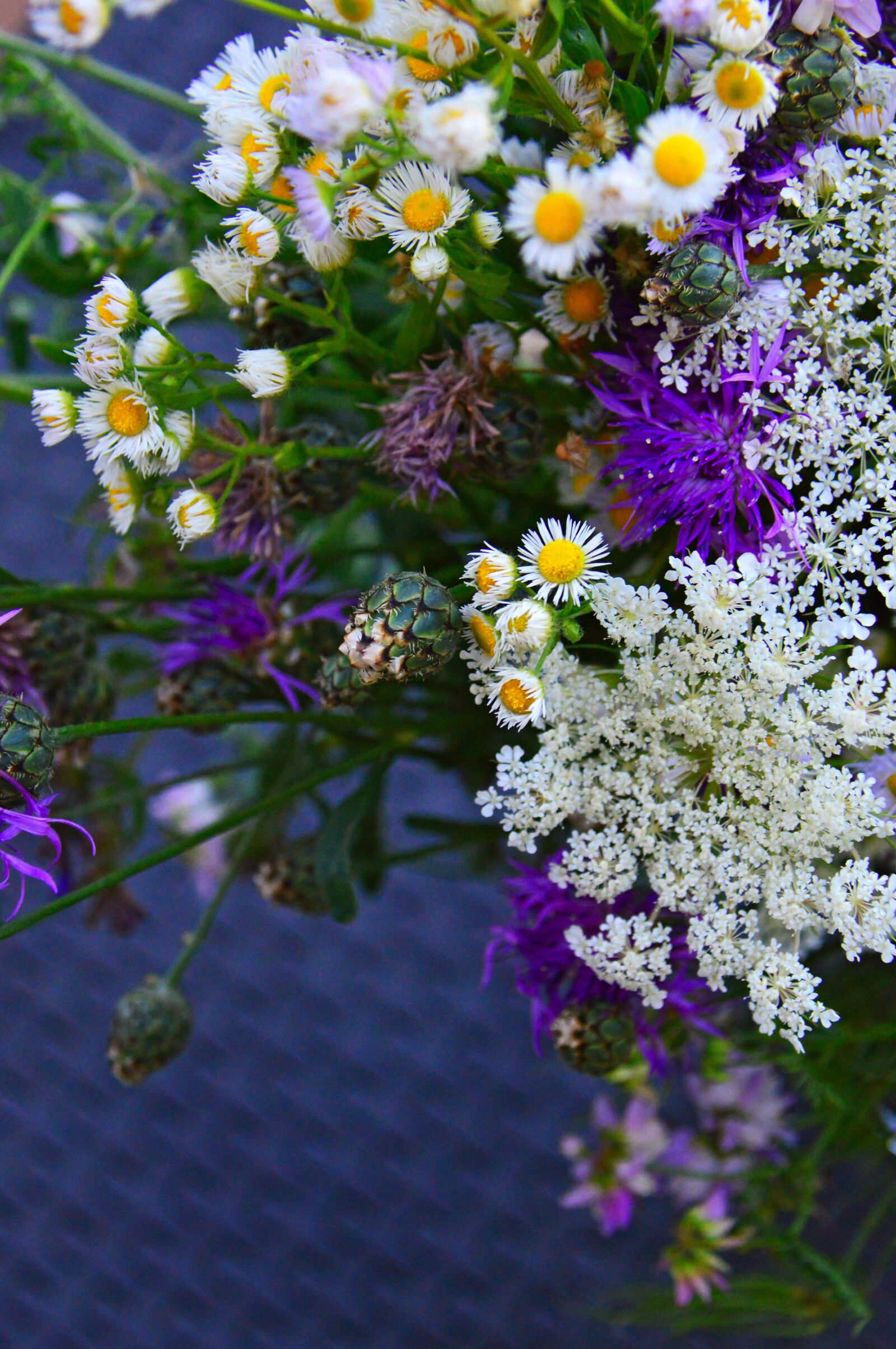 Nikon D3200 sample photo. Color, bouquet, summer flowers photography