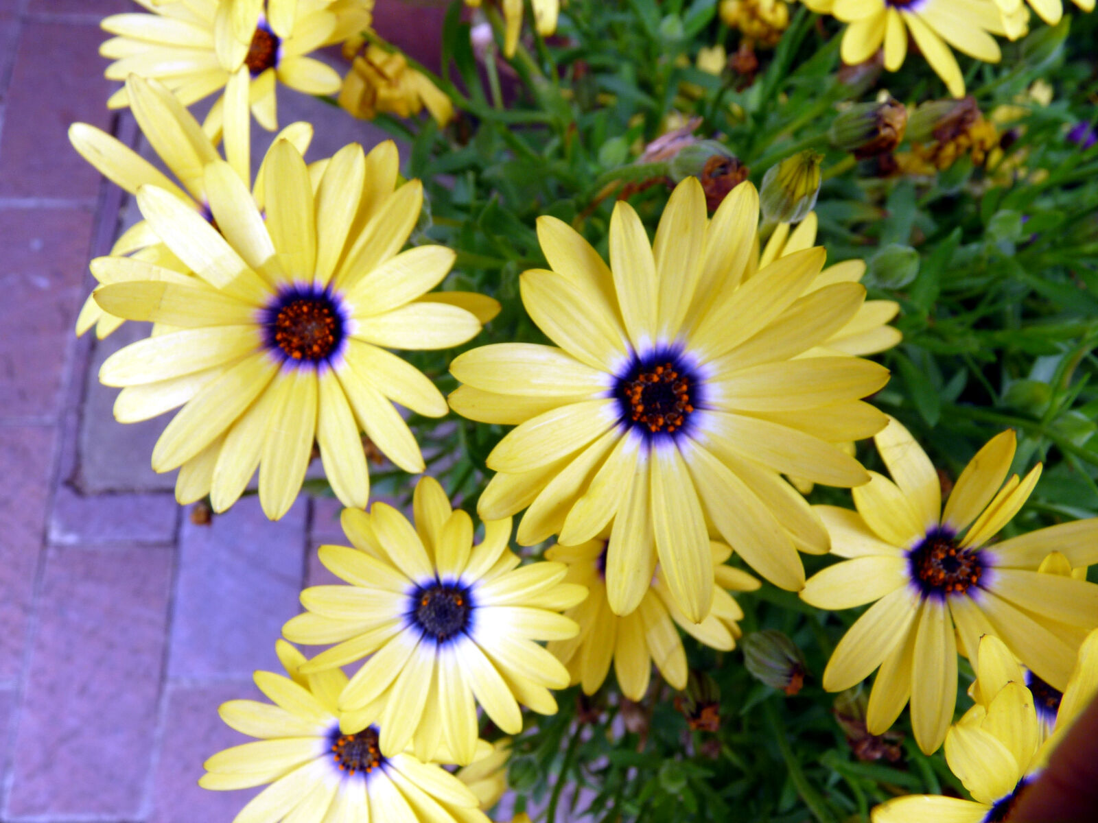 Panasonic Lumix DMC-FZ28 sample photo